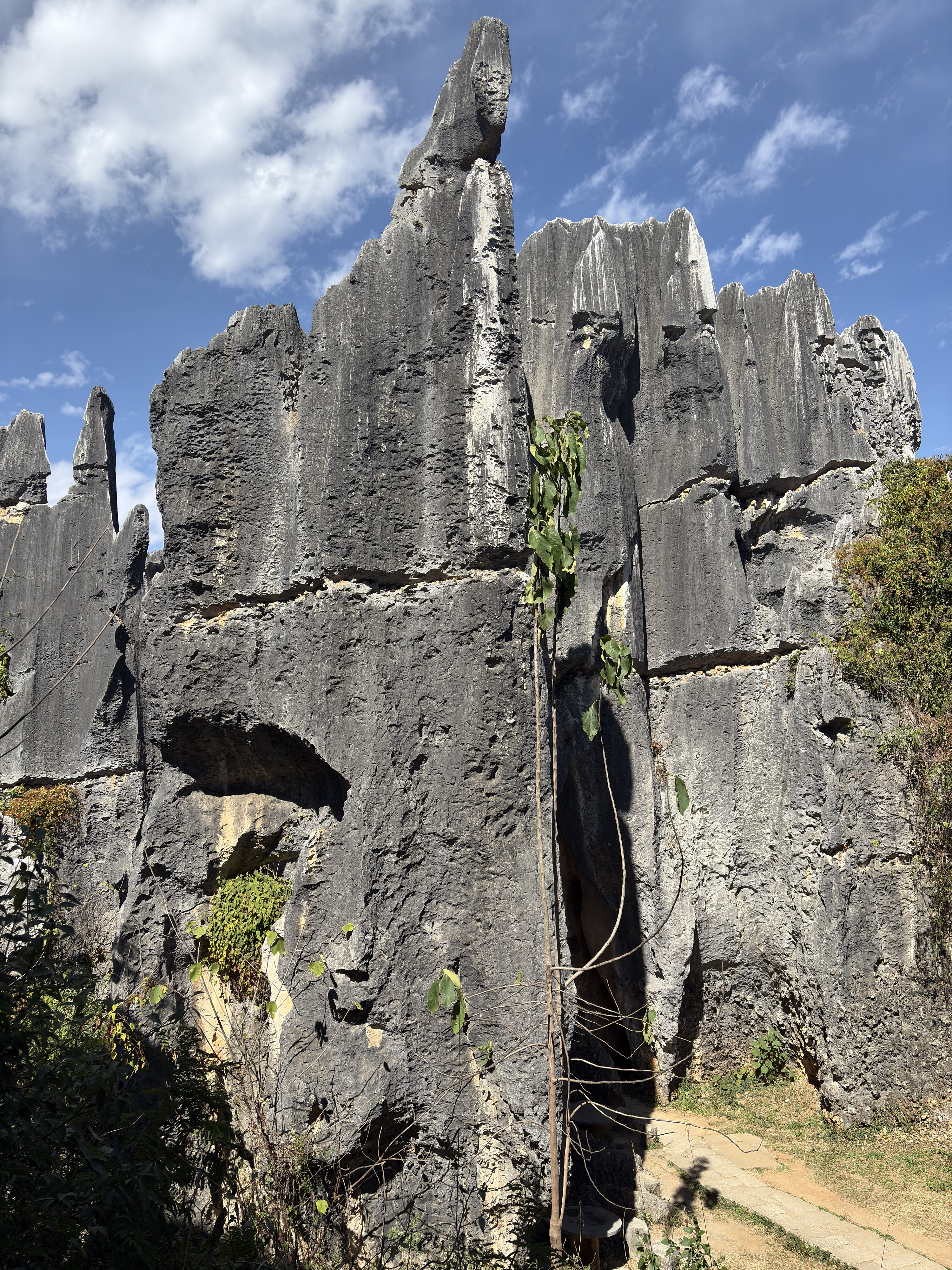 Picture China Shilin Stone Forest 2026-01 21 - Around Shilin Stone Forest