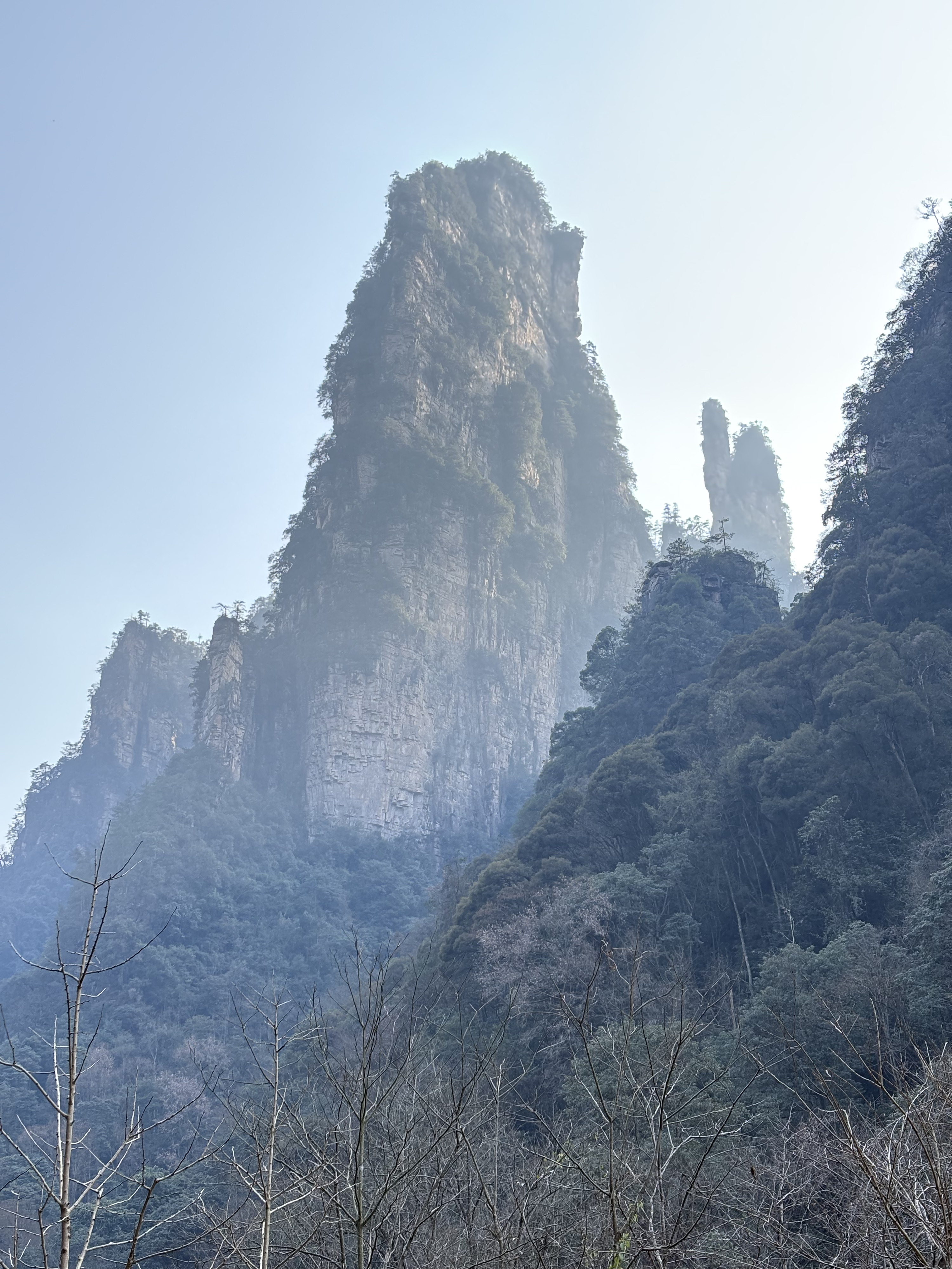Picture China Zhangjiajie Tianzi Mountrain 2026-01 148 - Tour Tianzi Mountrain