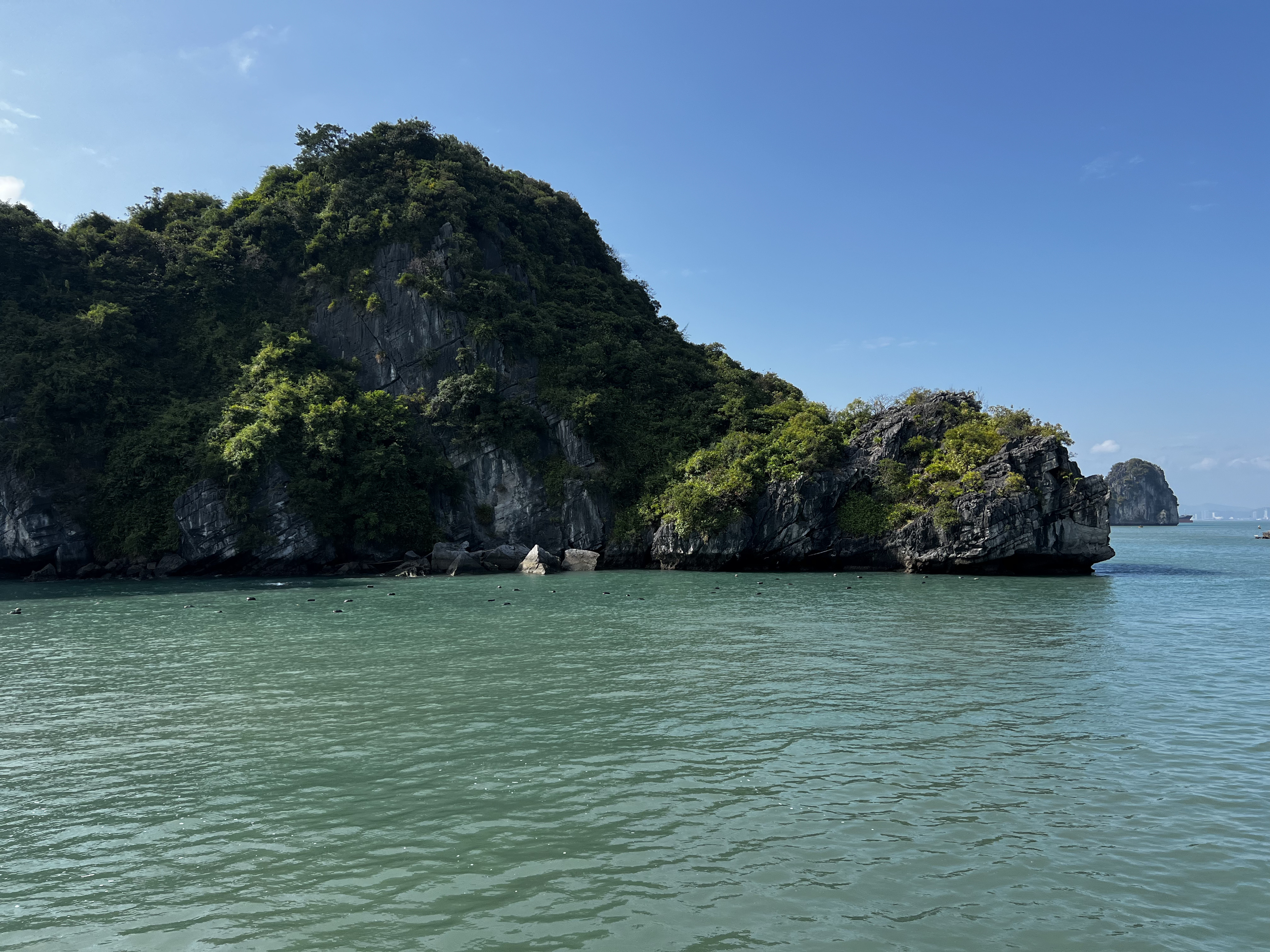 Picture Vietnam Ha Long Bay 2024-01 125 - Tours Ha Long Bay