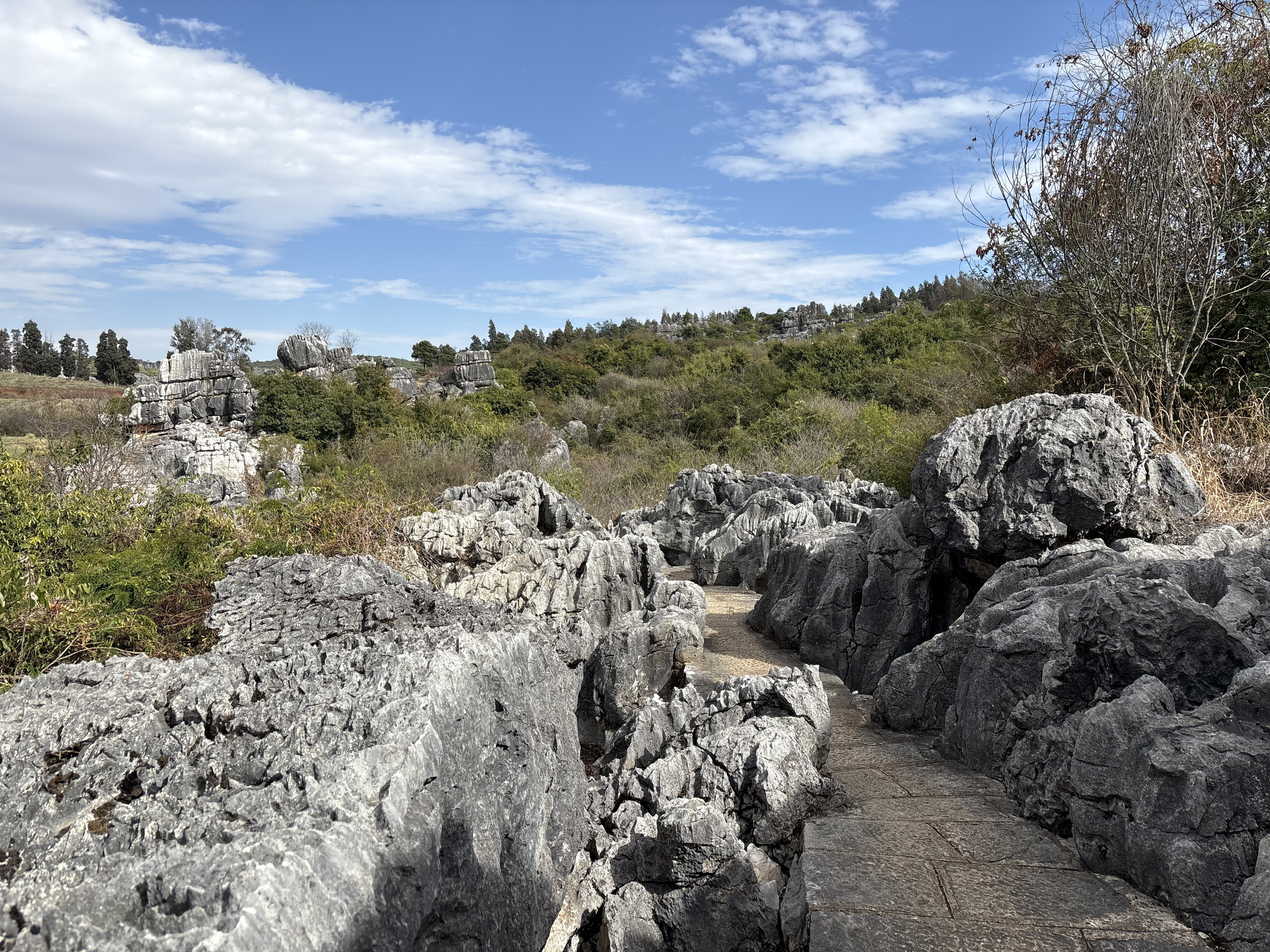 Picture China Shilin Stone Forest 2026-01 361 - Tours Shilin Stone Forest