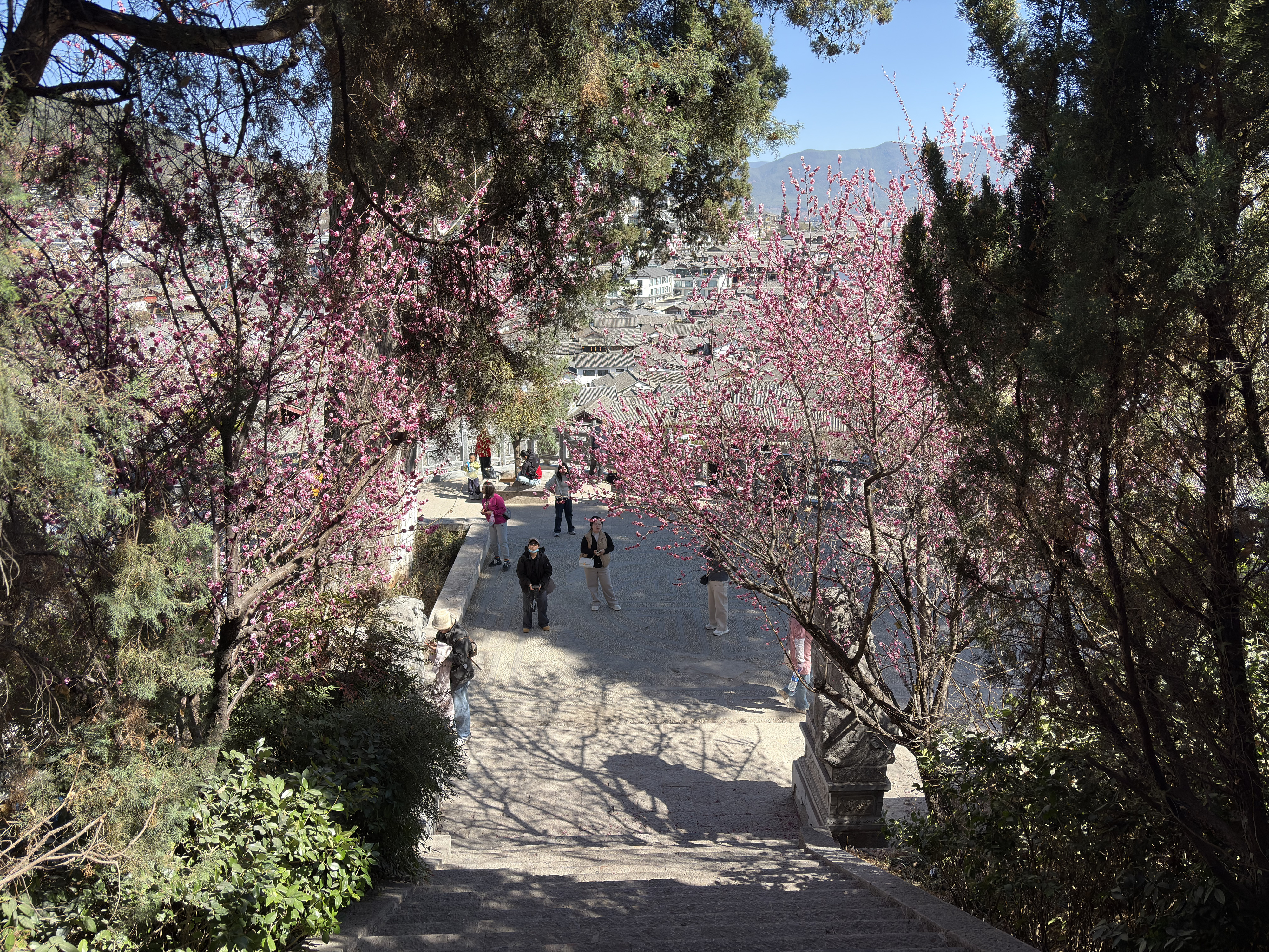 Picture China Lijiang 2026-01 588 - Tour Lijiang