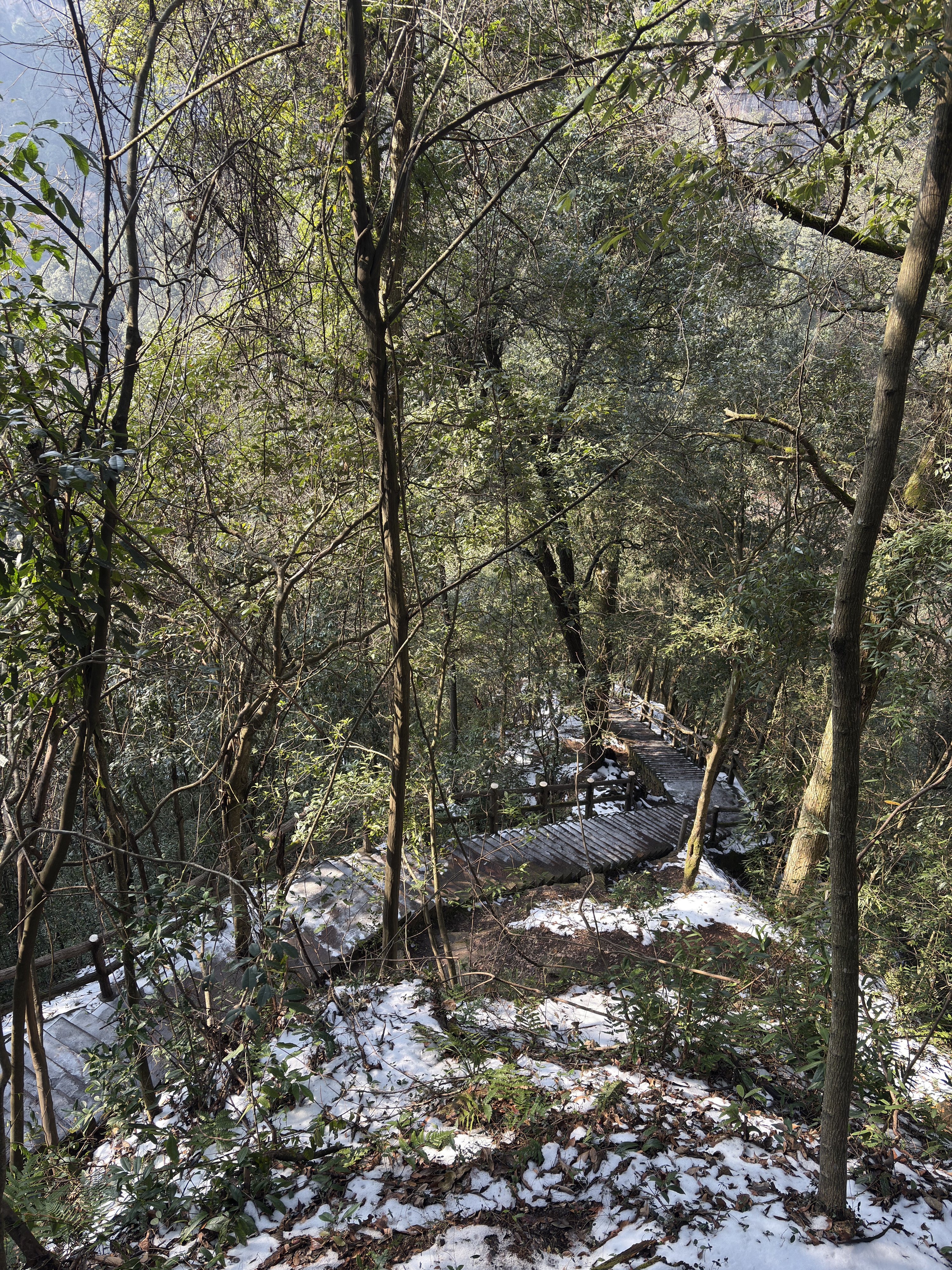 Picture China Zhangjiajie Tianzi Mountrain 2026-01 50 - Tours Tianzi Mountrain