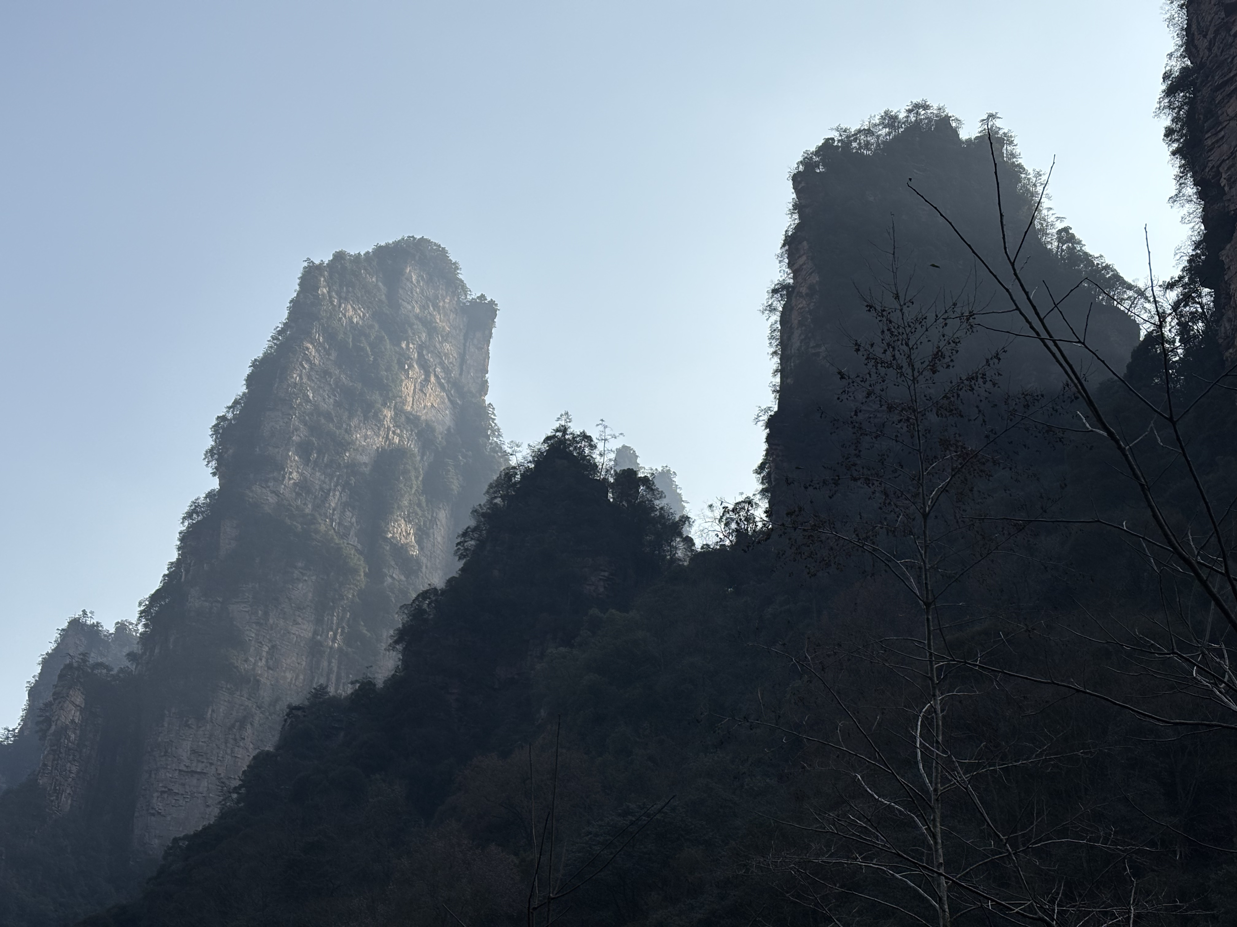 Picture China Zhangjiajie Tianzi Mountrain 2026-01 262 - Discovery Tianzi Mountrain