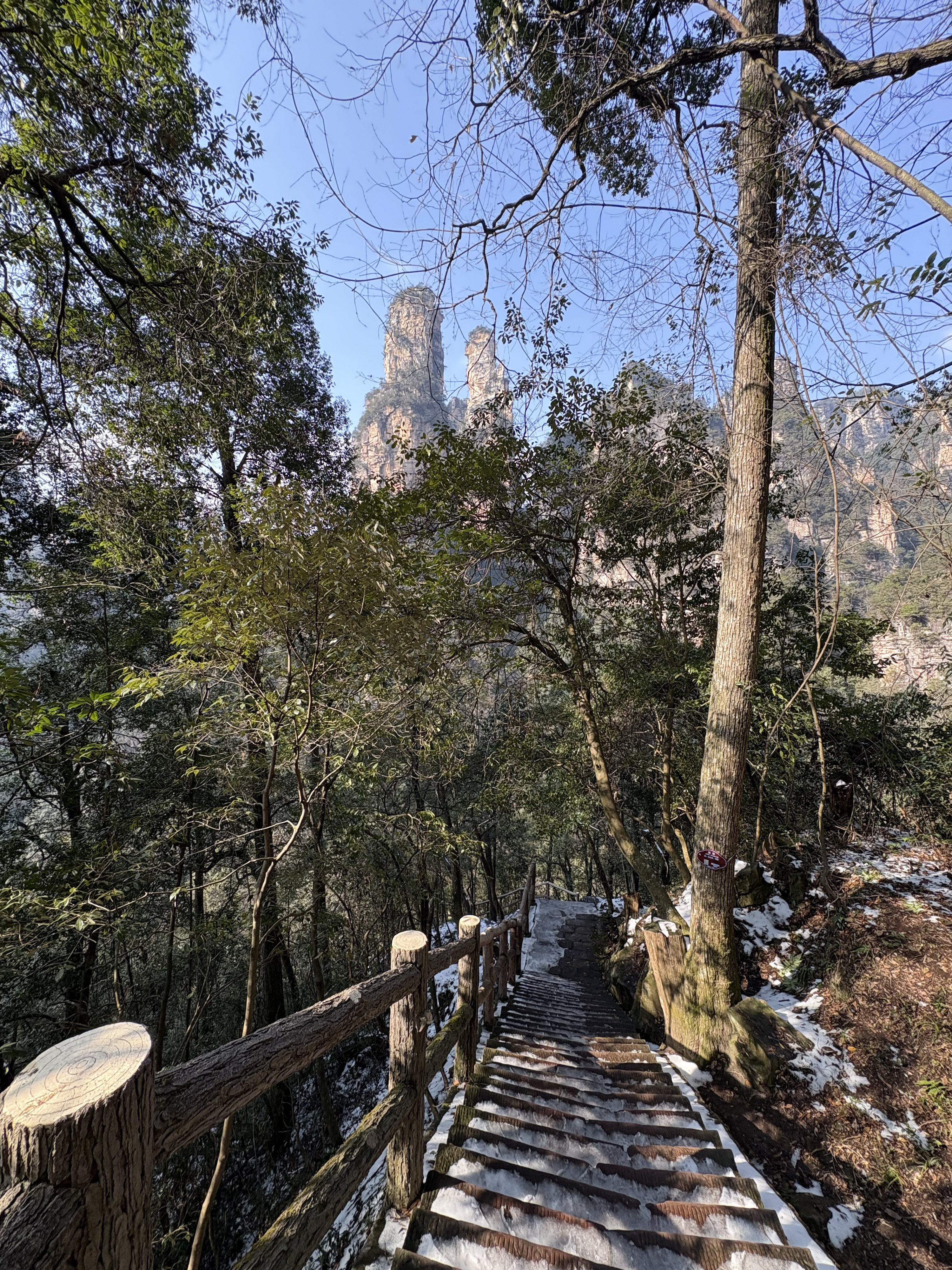 Picture China Zhangjiajie Tianzi Mountrain 2026-01 336 - Journey Tianzi Mountrain
