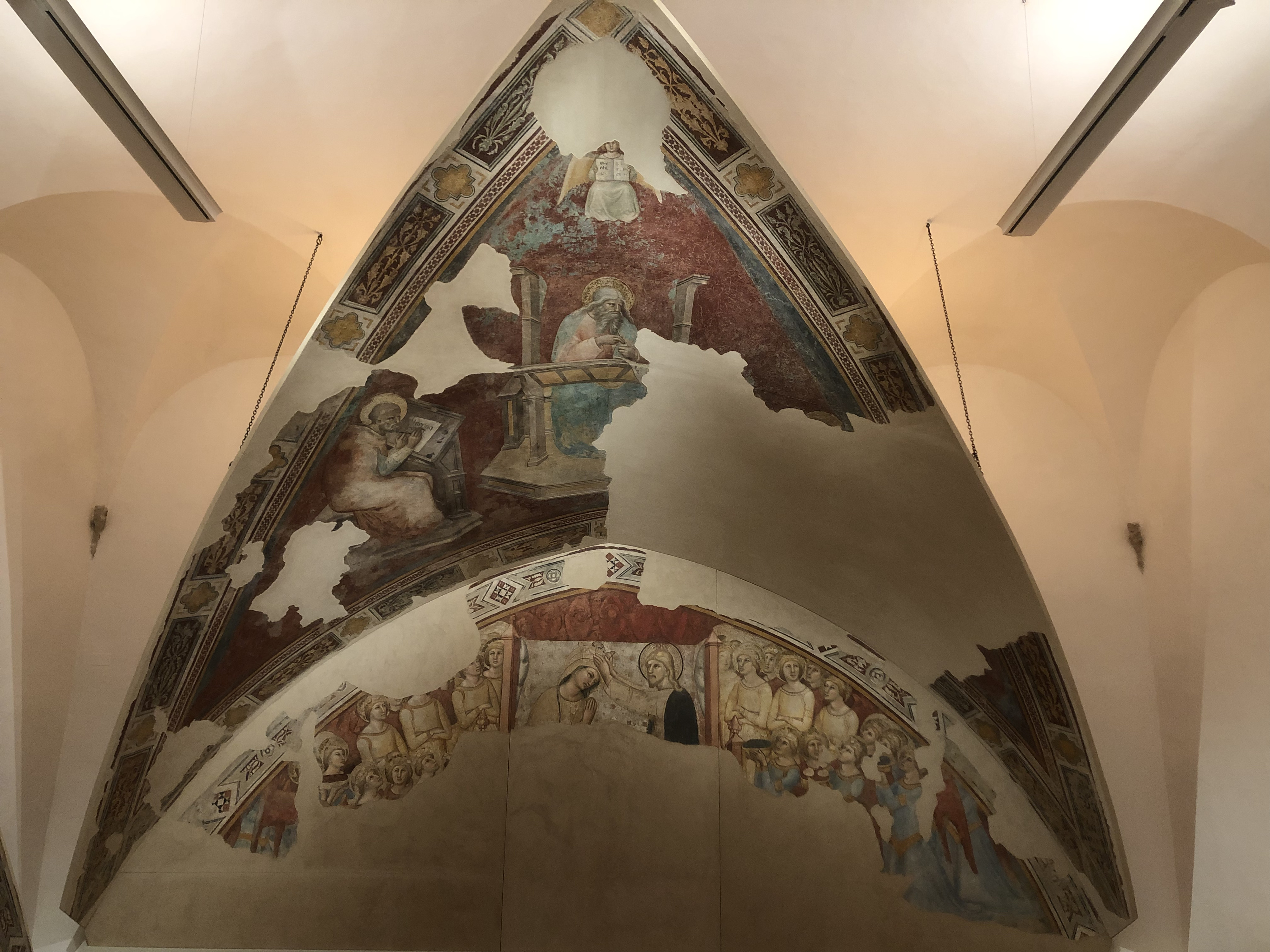 Picture Italy Urbino 2024-09 288 - Discovery Urbino