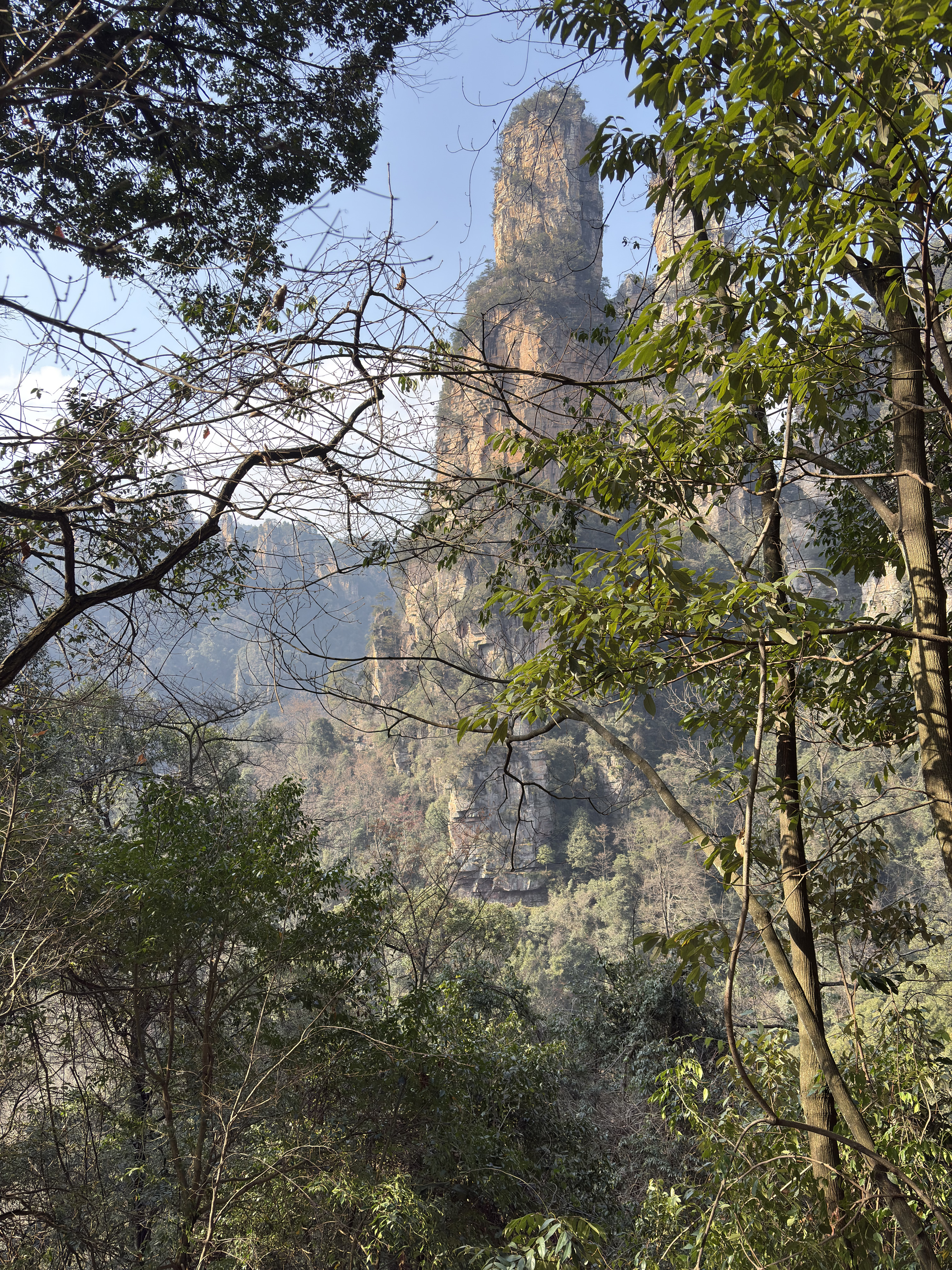 Picture China Zhangjiajie Tianzi Mountrain 2026-01 85 - Journey Tianzi Mountrain