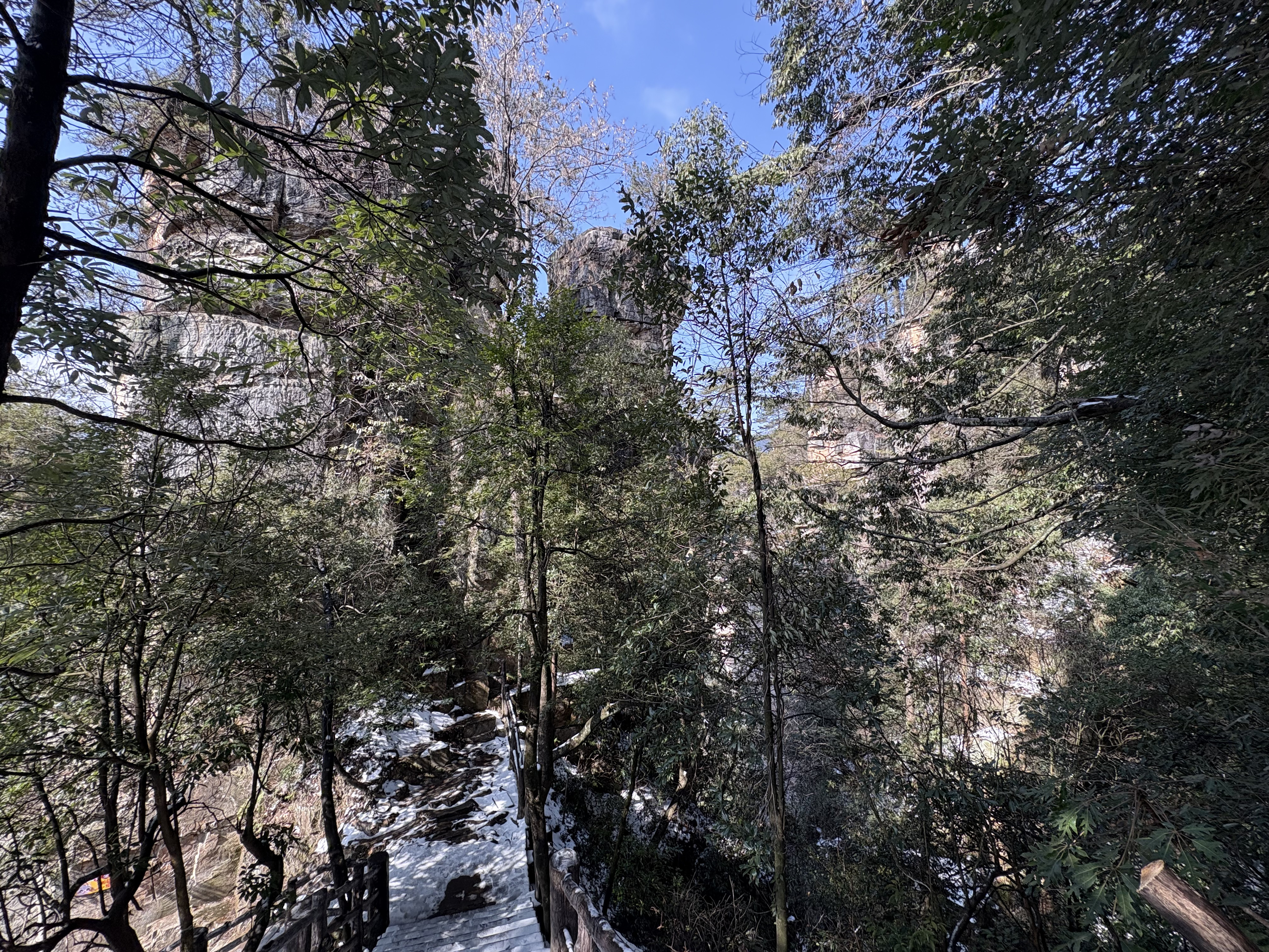 Picture China Zhangjiajie Tianzi Mountrain 2026-01 160 - Discovery Tianzi Mountrain