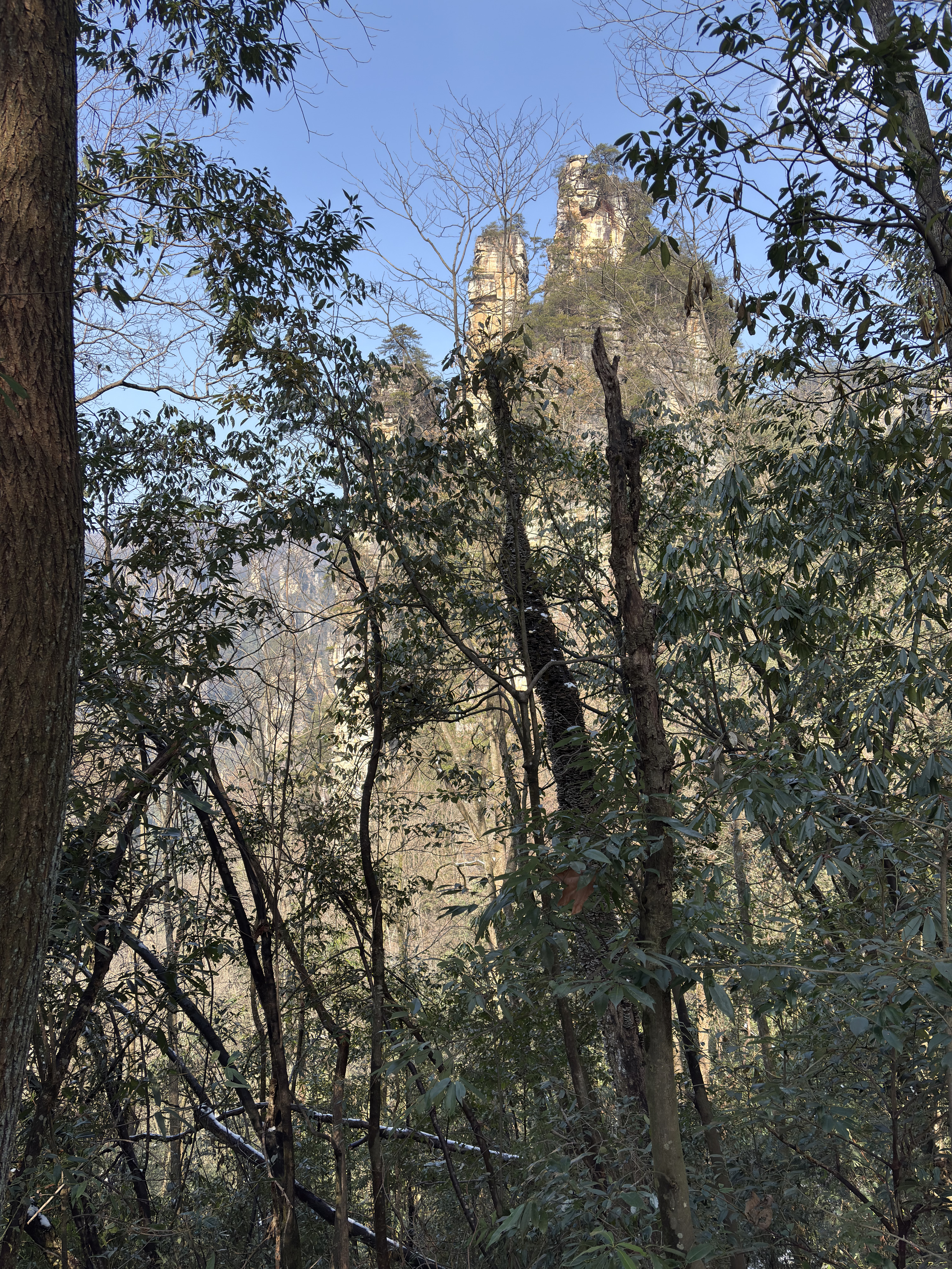 Picture China Zhangjiajie Tianzi Mountrain 2026-01 391 - Tour Tianzi Mountrain