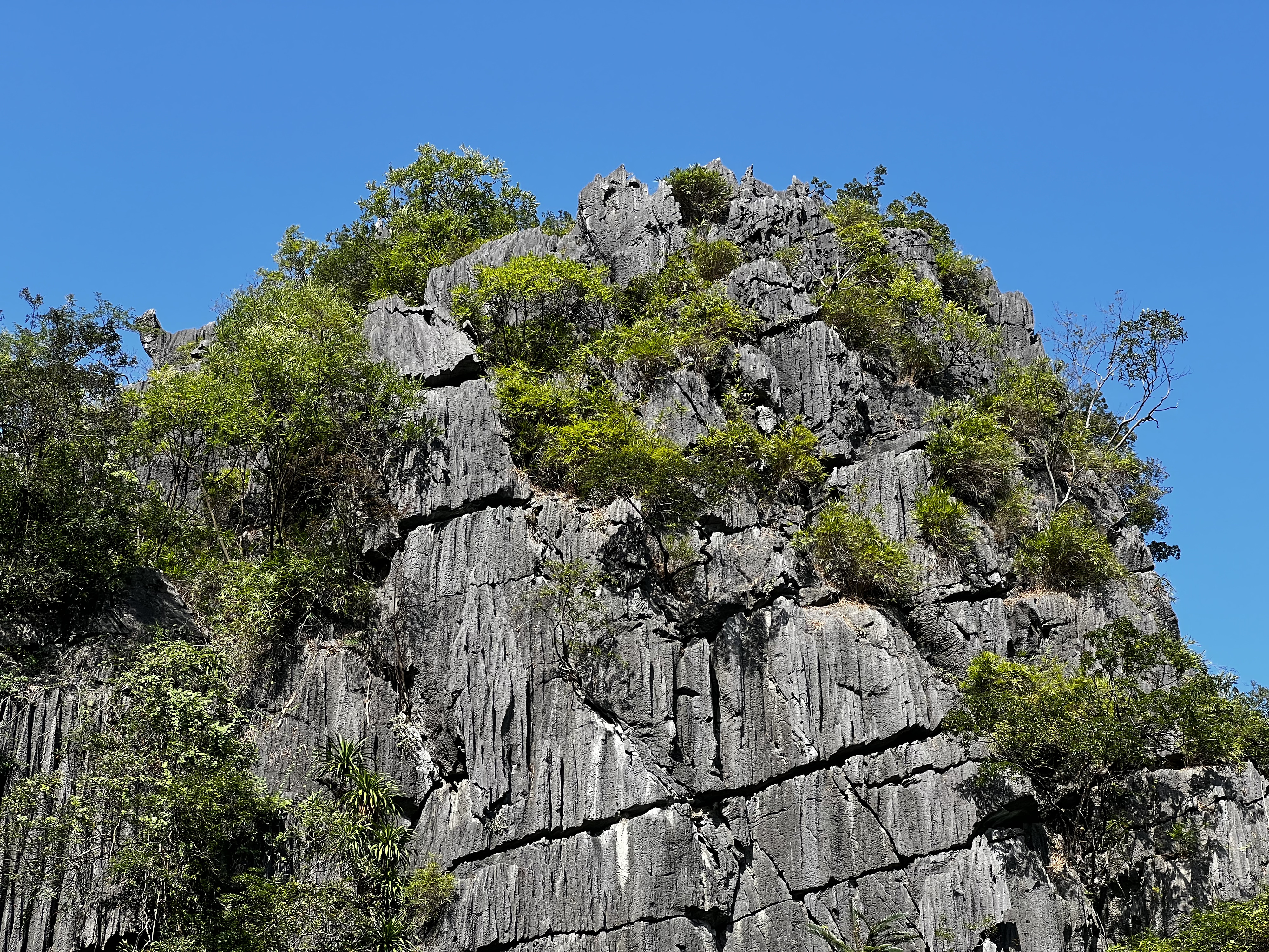 Picture Vietnam Ha Long Bay 2024-01 166 - Journey Ha Long Bay