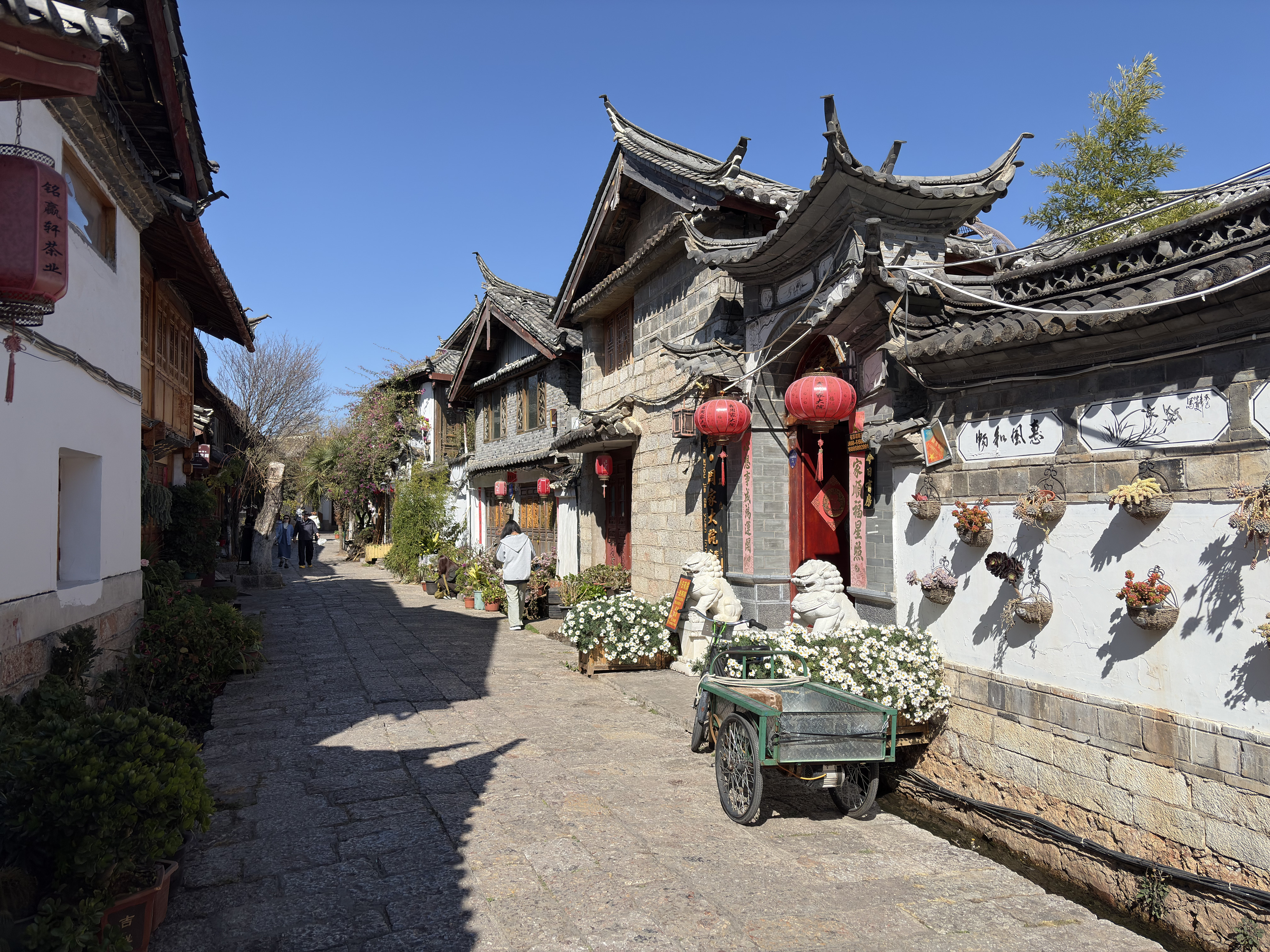 Picture China Lijiang 2026-01 503 - Discovery Lijiang