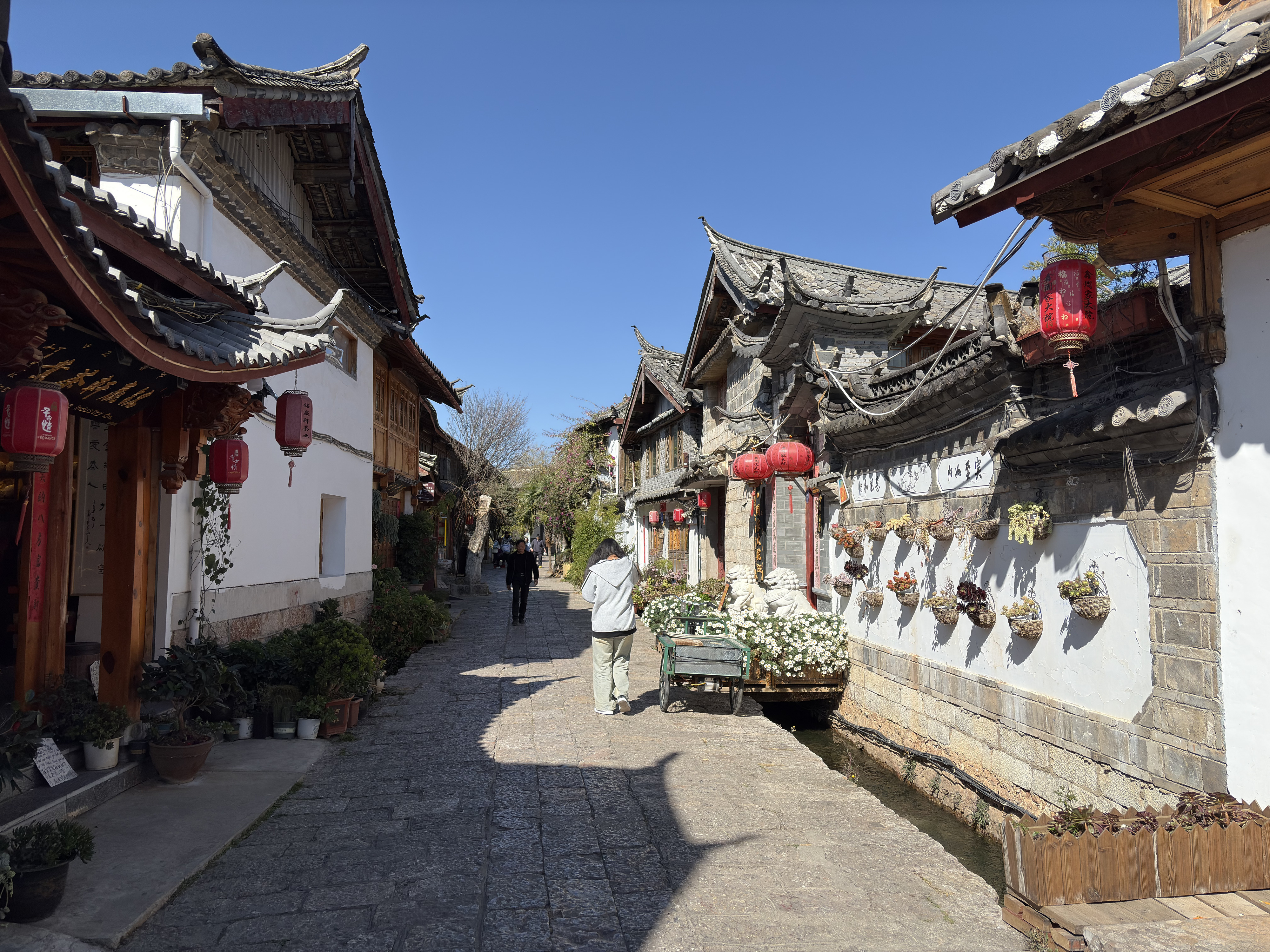 Picture China Lijiang 2026-01 591 - Center Lijiang