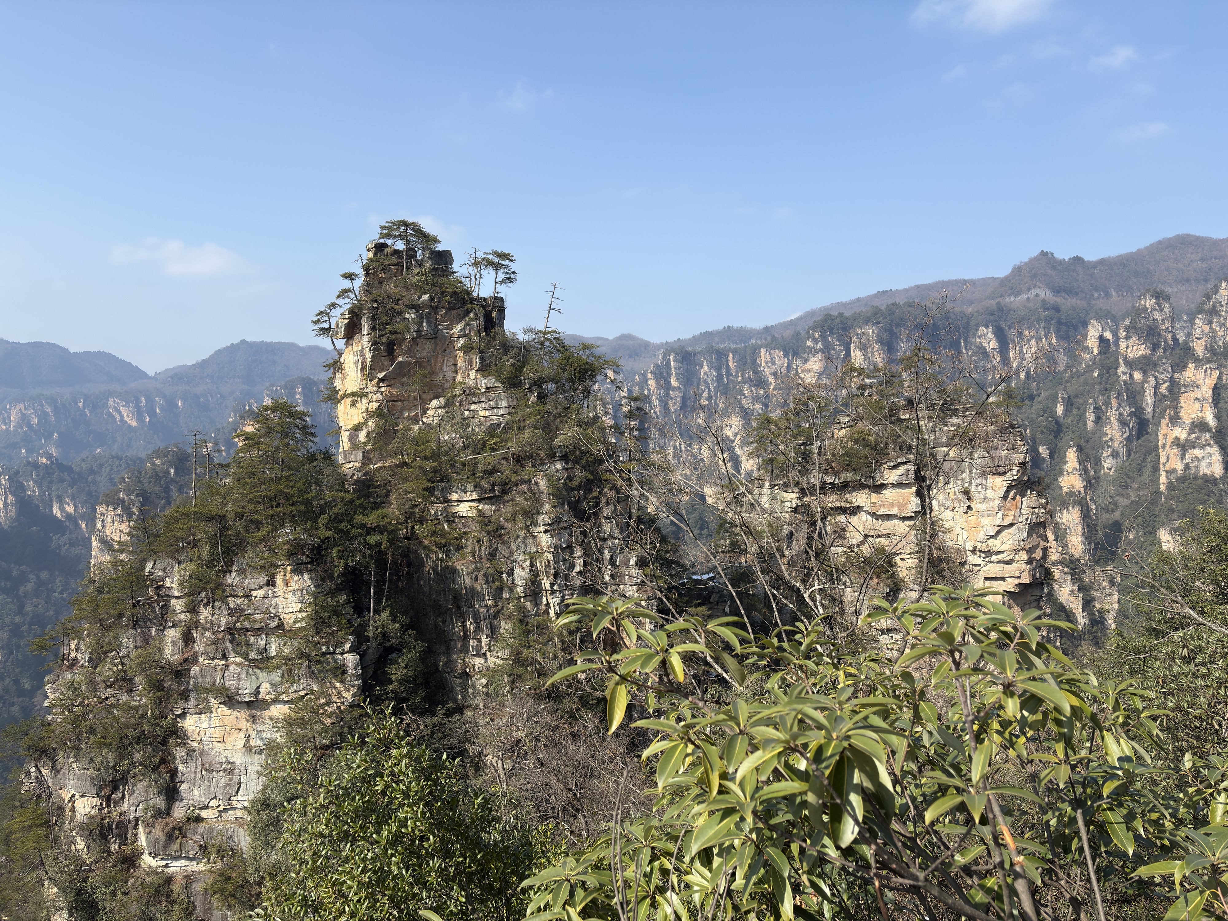 Picture China Zhangjiajie Tianzi Mountrain 2026-01 339 - Discovery Tianzi Mountrain