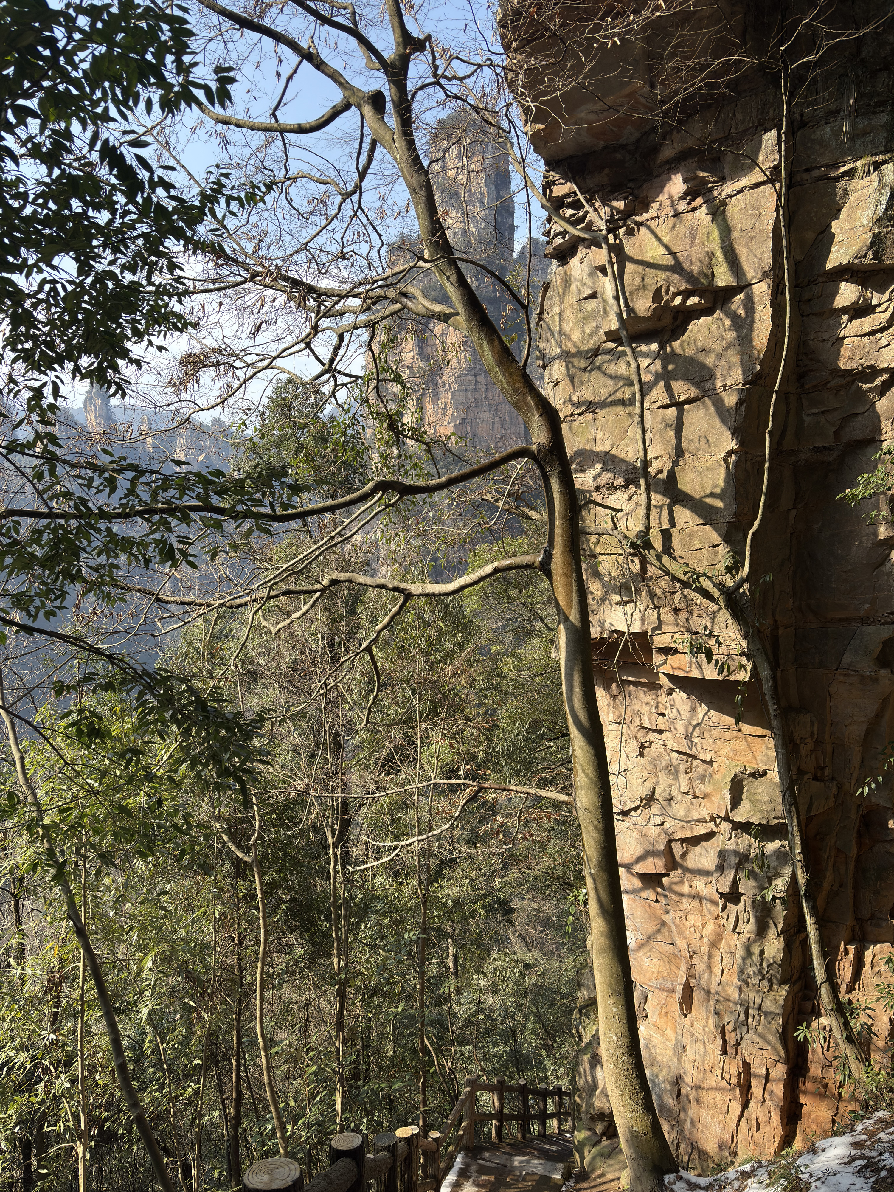 Picture China Zhangjiajie Tianzi Mountrain 2026-01 298 - Center Tianzi Mountrain