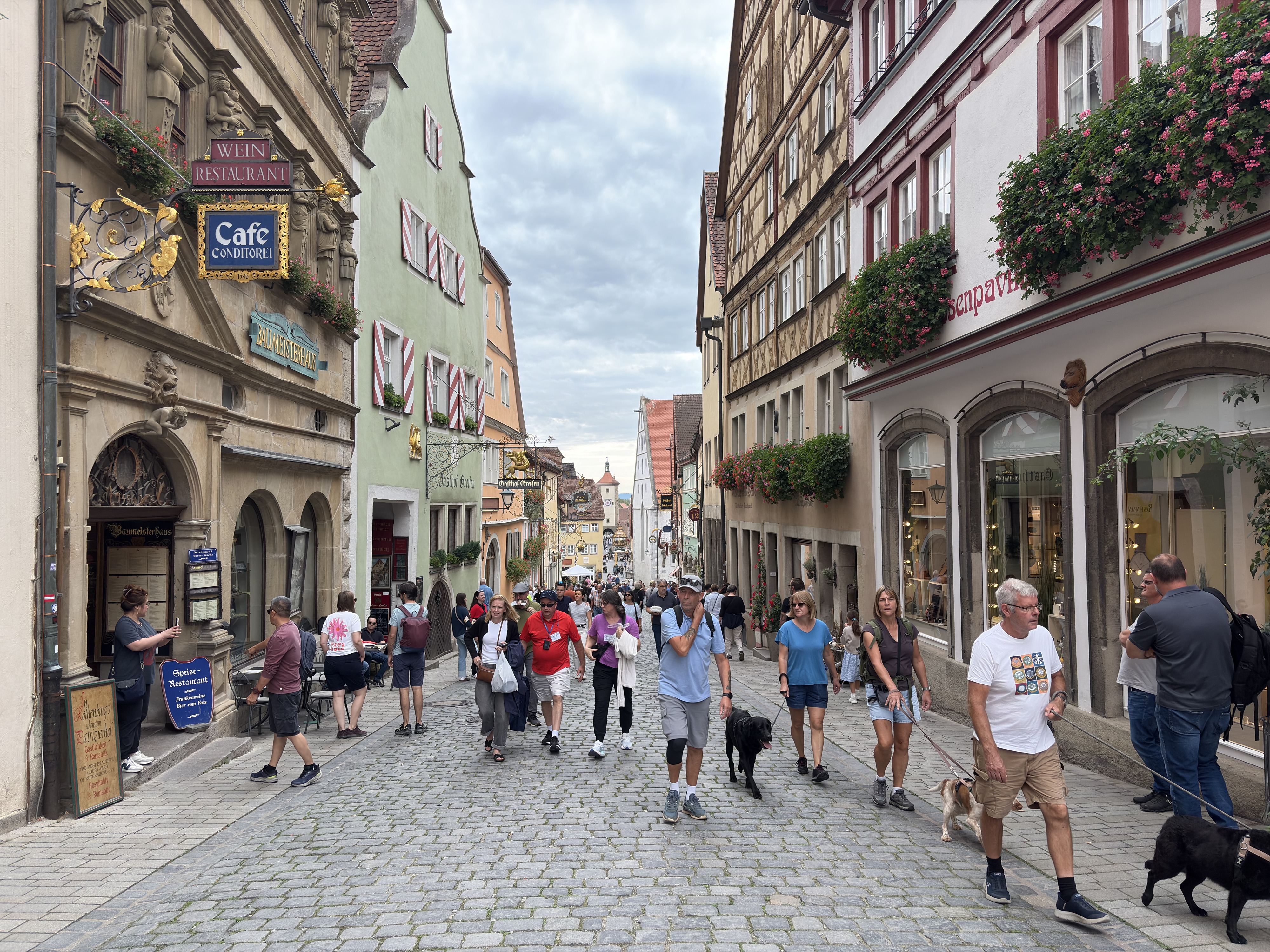 Picture Germany Rothenburg ob der Tauber⁩ 2025-09 208 - Around Rothenburg ob der Tauber⁩