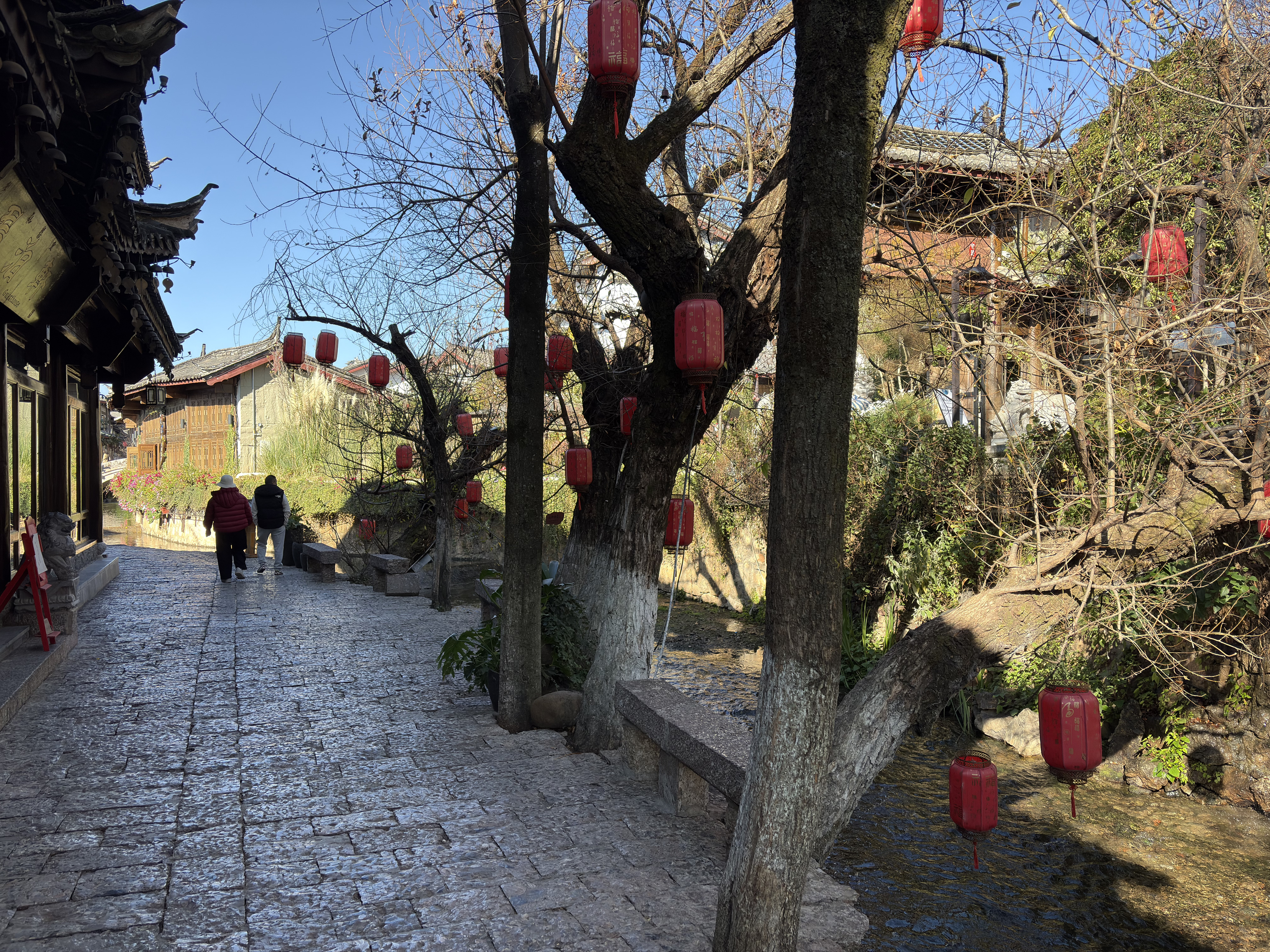 Picture China Lijiang 2026-01 524 - Tours Lijiang