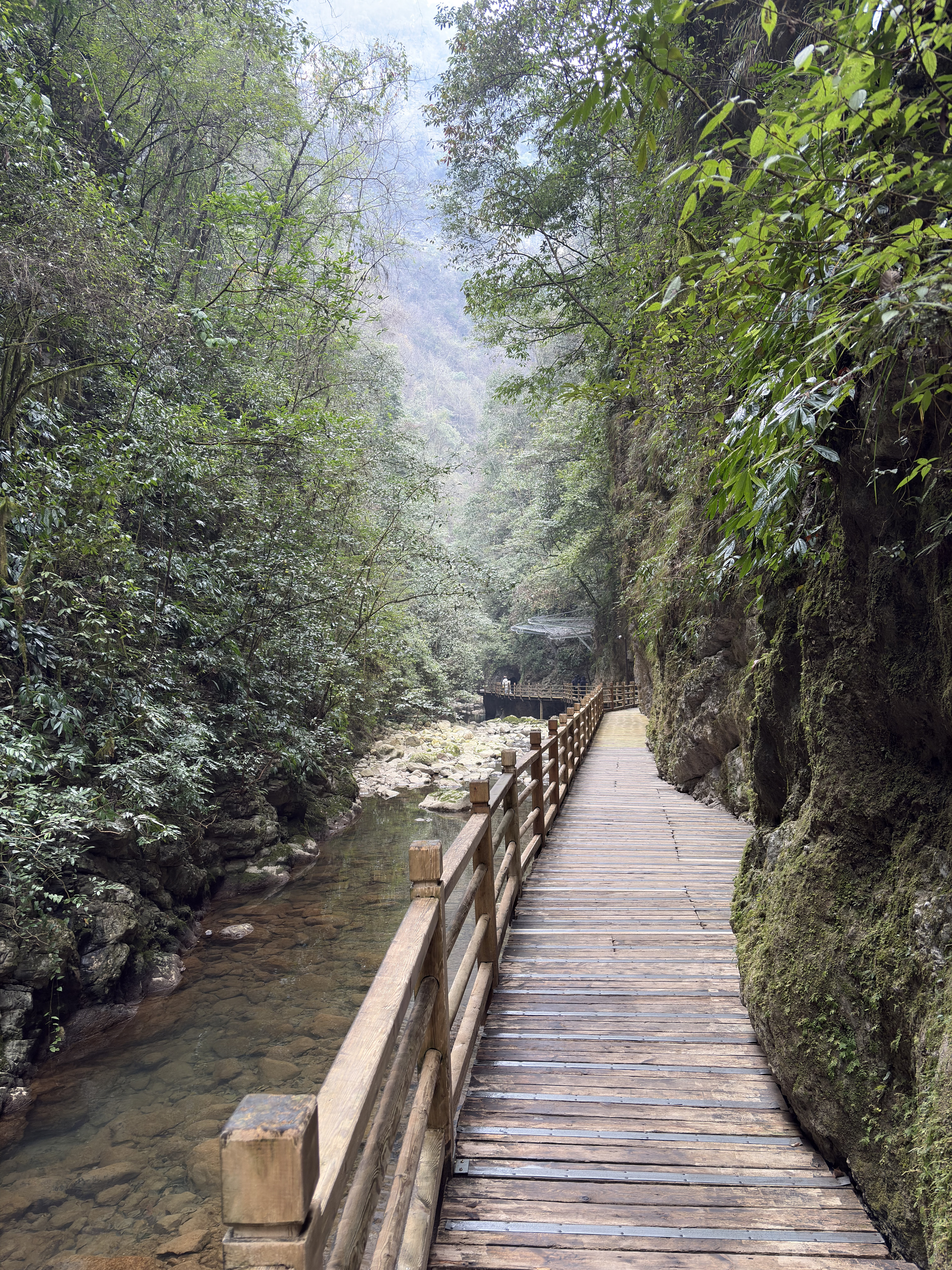 Picture China Zhangjiajie Grand Canion 2026-01 18 - History Grand Canion