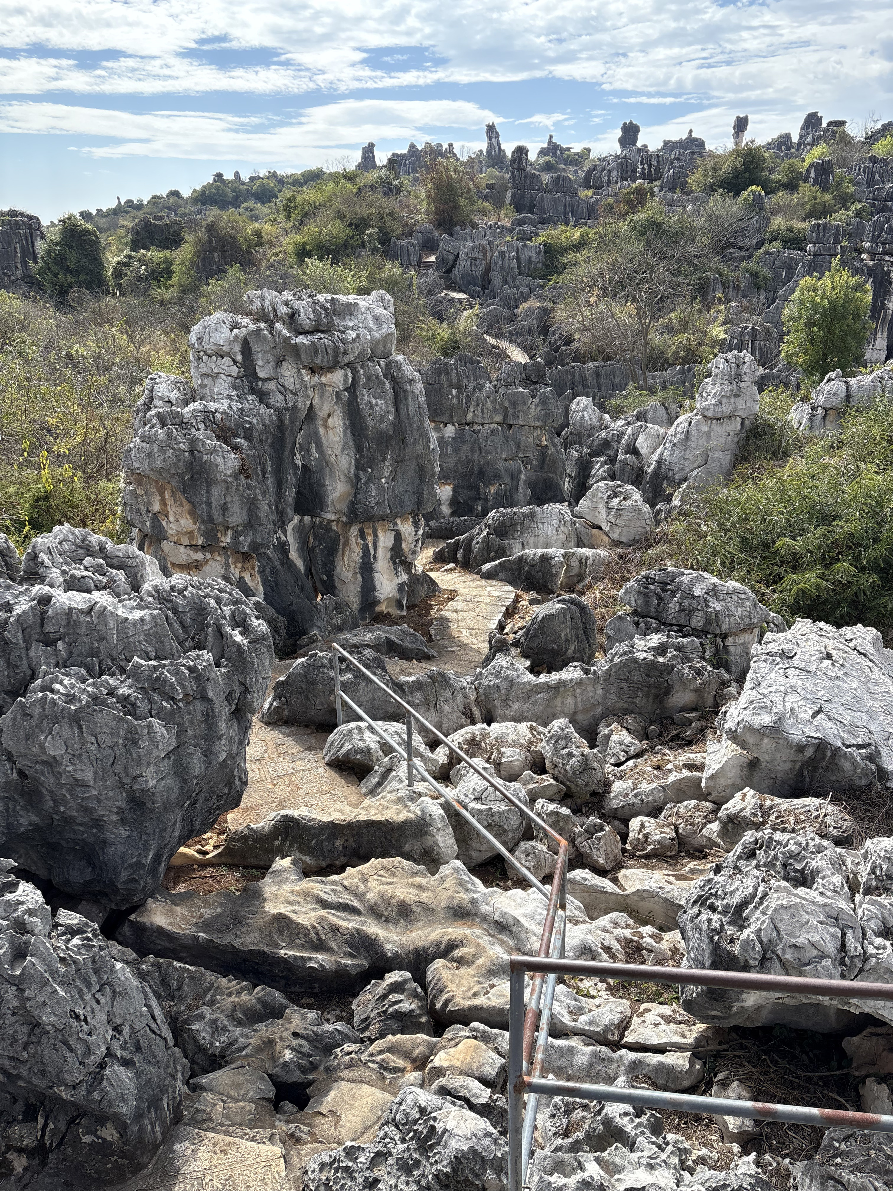 Picture China Shilin Stone Forest 2026-01 141 - Tours Shilin Stone Forest