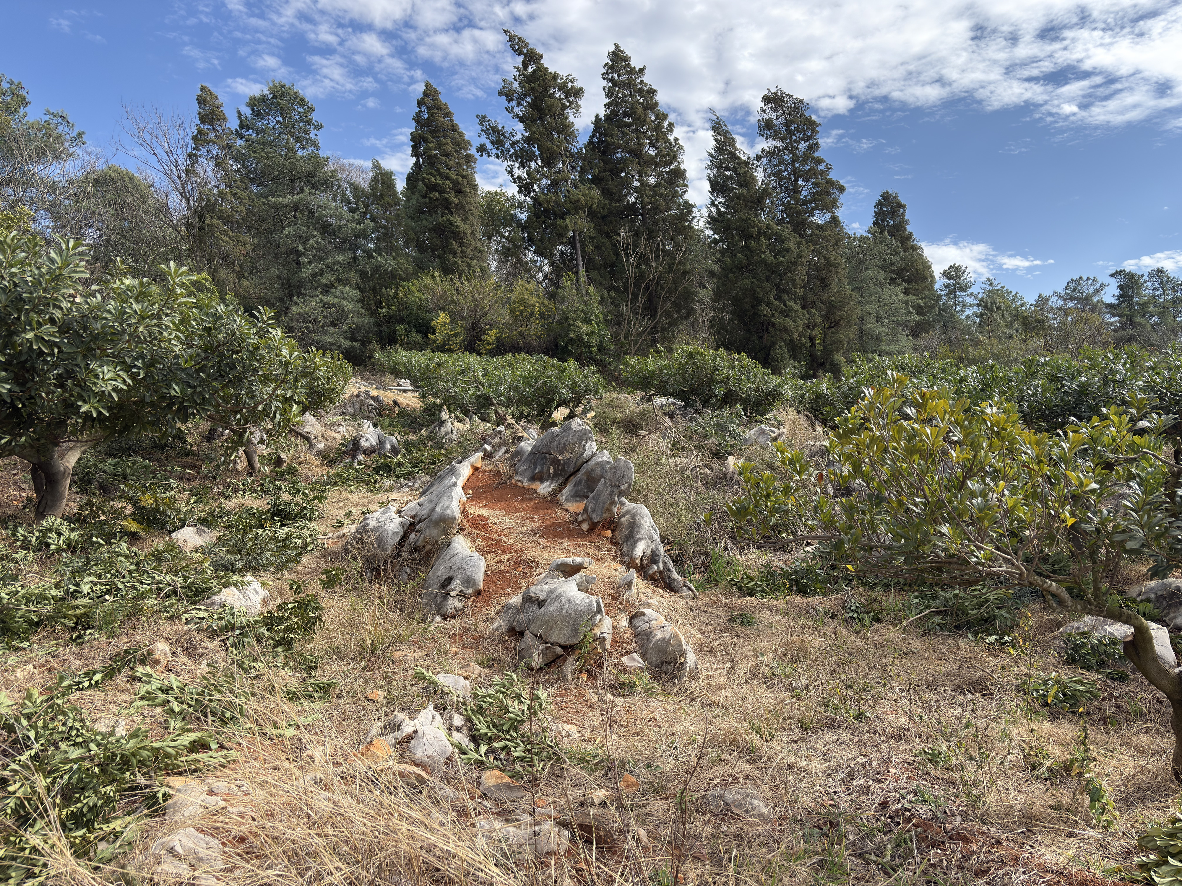 Picture China Shilin Stone Forest 2026-01 310 - Around Shilin Stone Forest