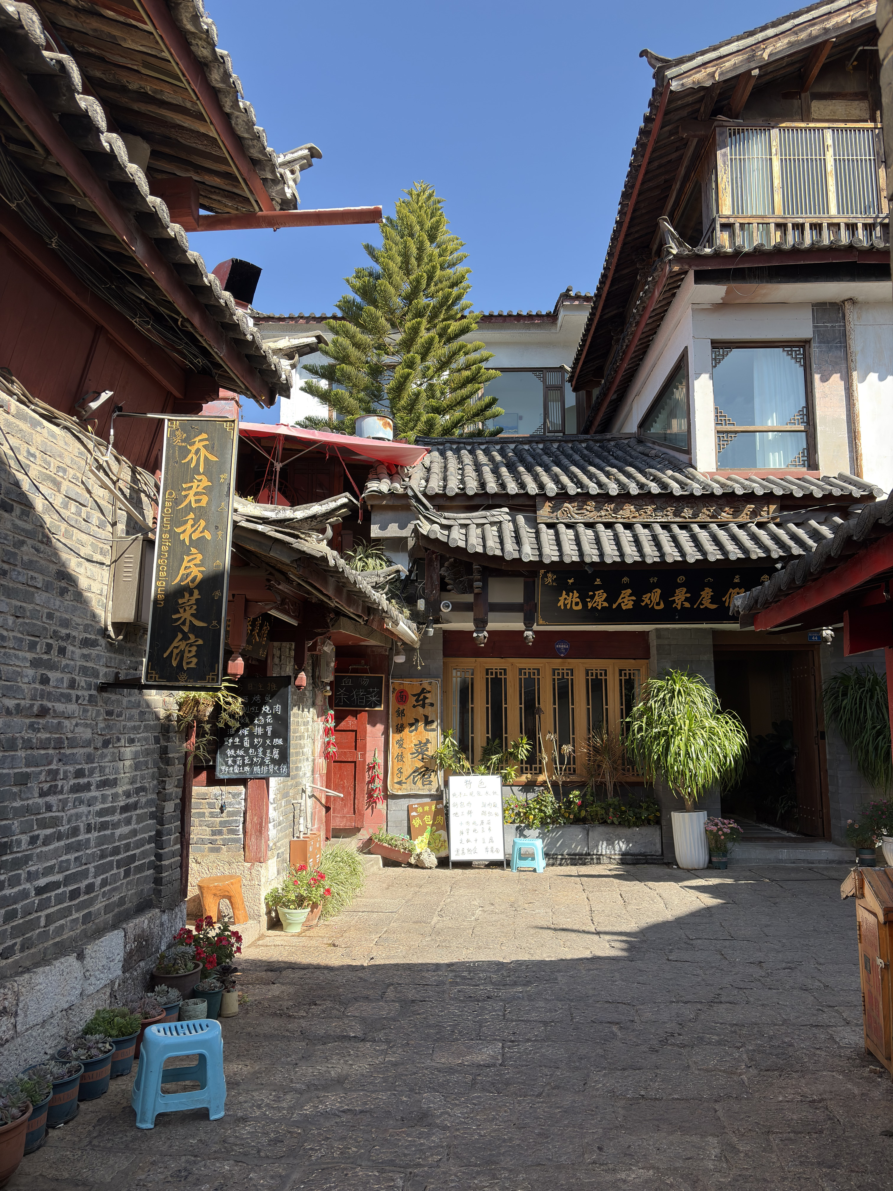 Picture China Lijiang 2026-01 356 - Around Lijiang