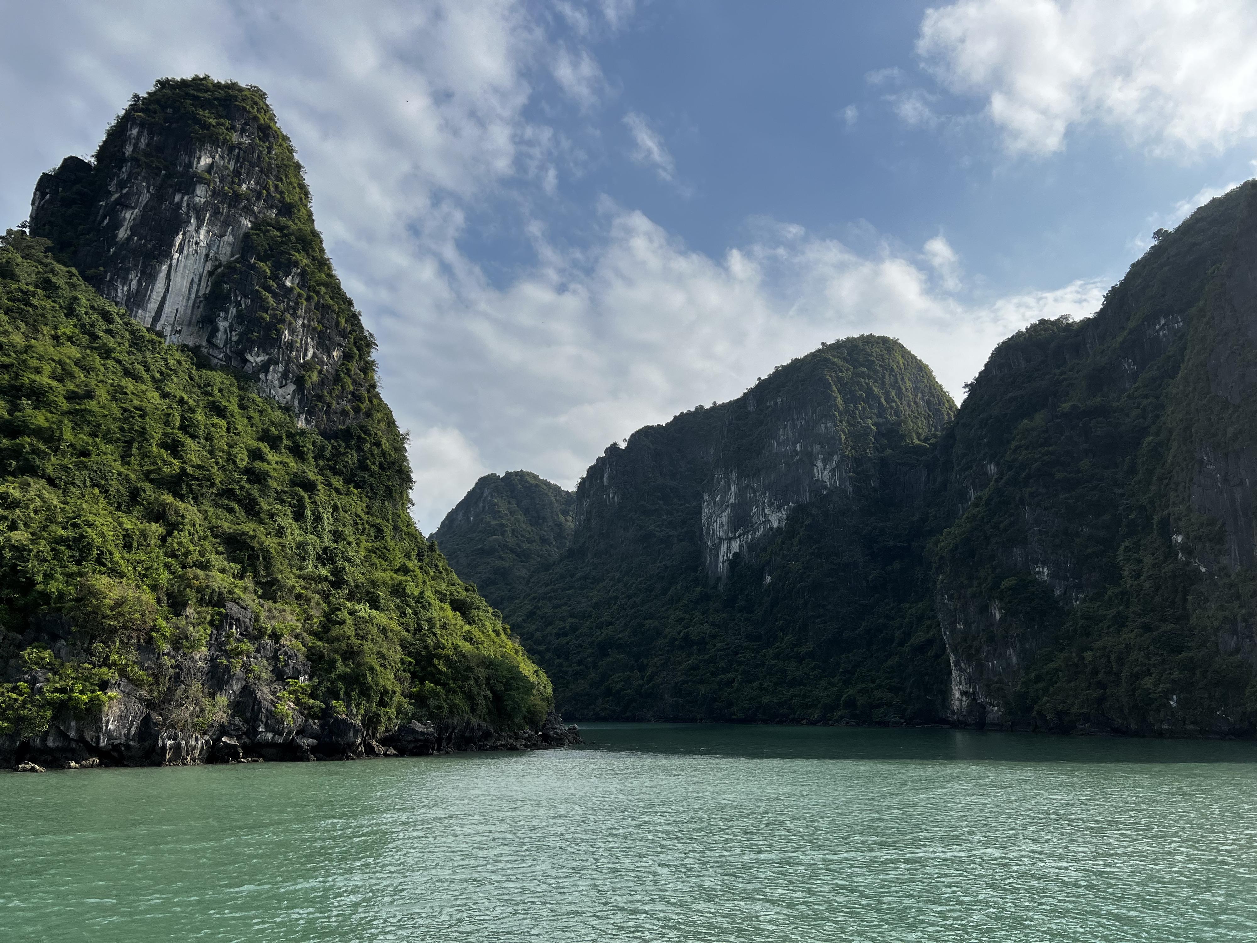 Picture Vietnam Ha Long Bay 2024-01 174 - Tour Ha Long Bay