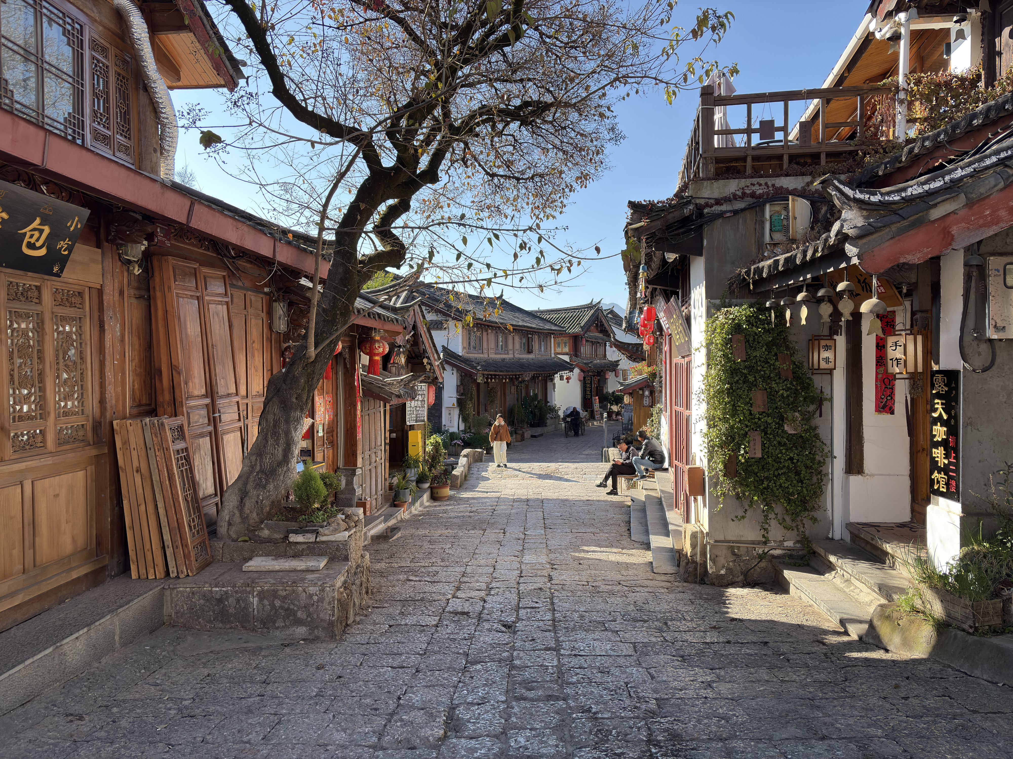 Picture China Lijiang 2026-01 585 - Journey Lijiang