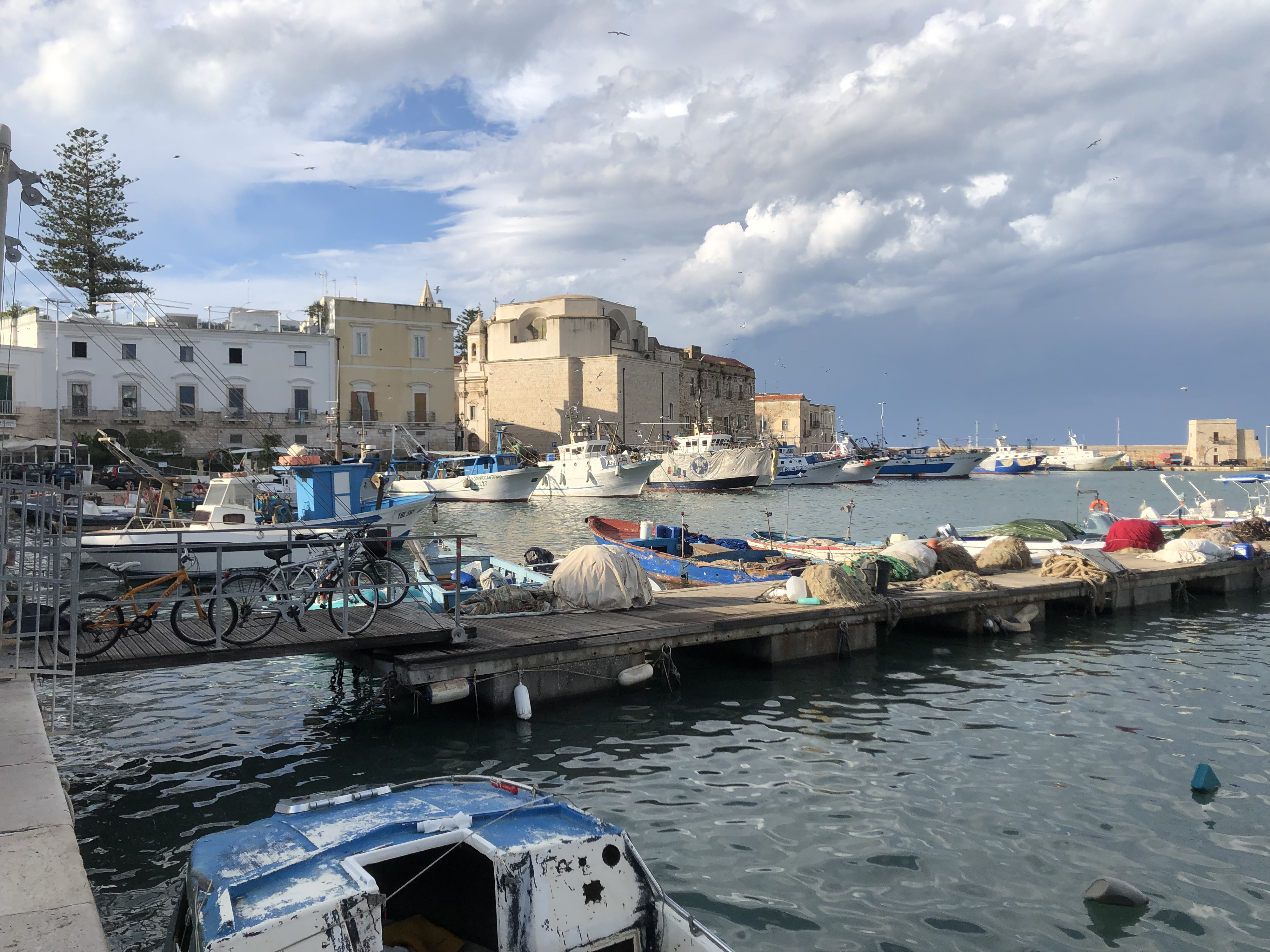 Picture Italy Trani 2024-09 19 - History Trani