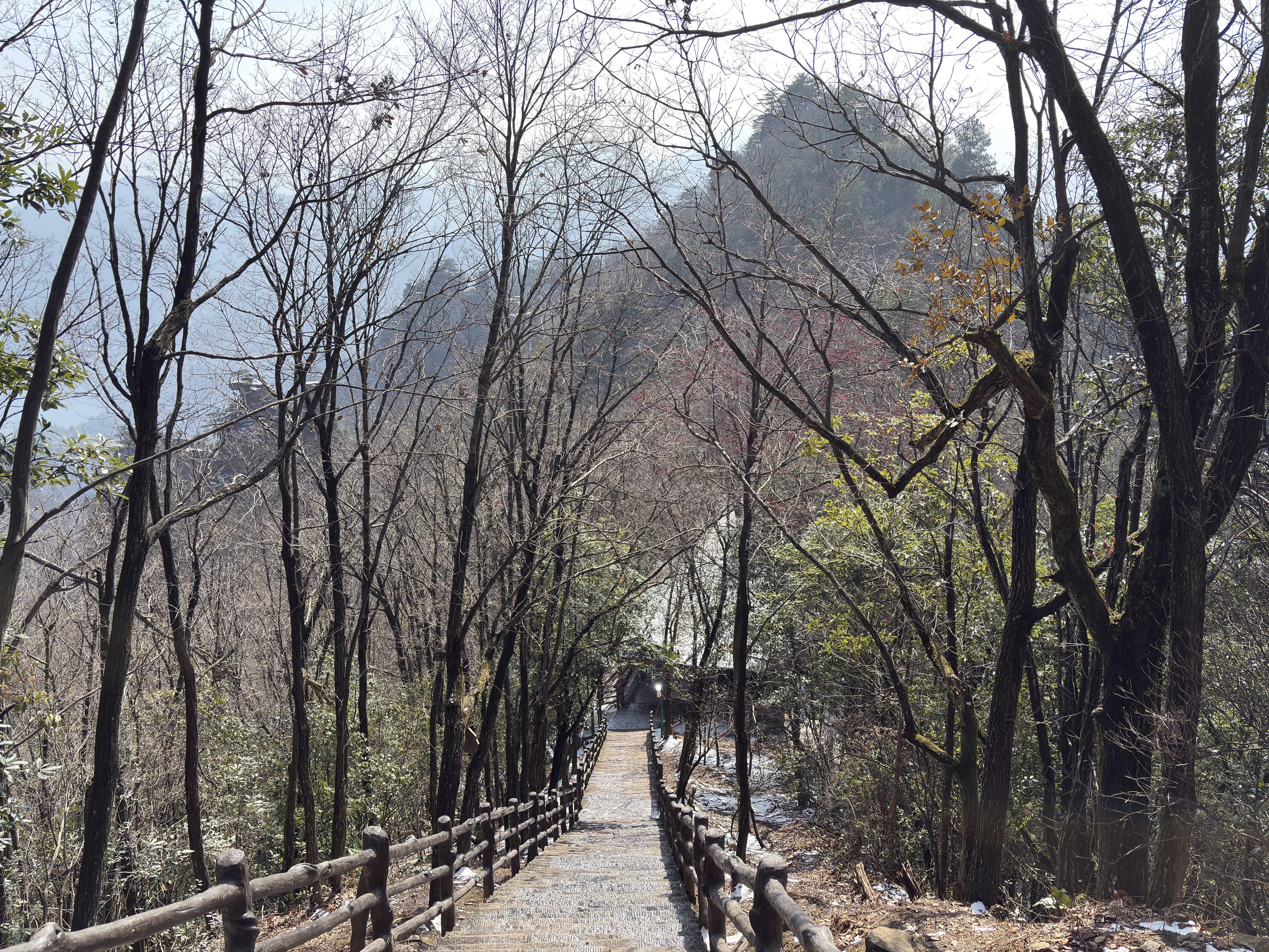 Picture China Zhangjiajie Tianzi Mountrain 2026-01 283 - History Tianzi Mountrain