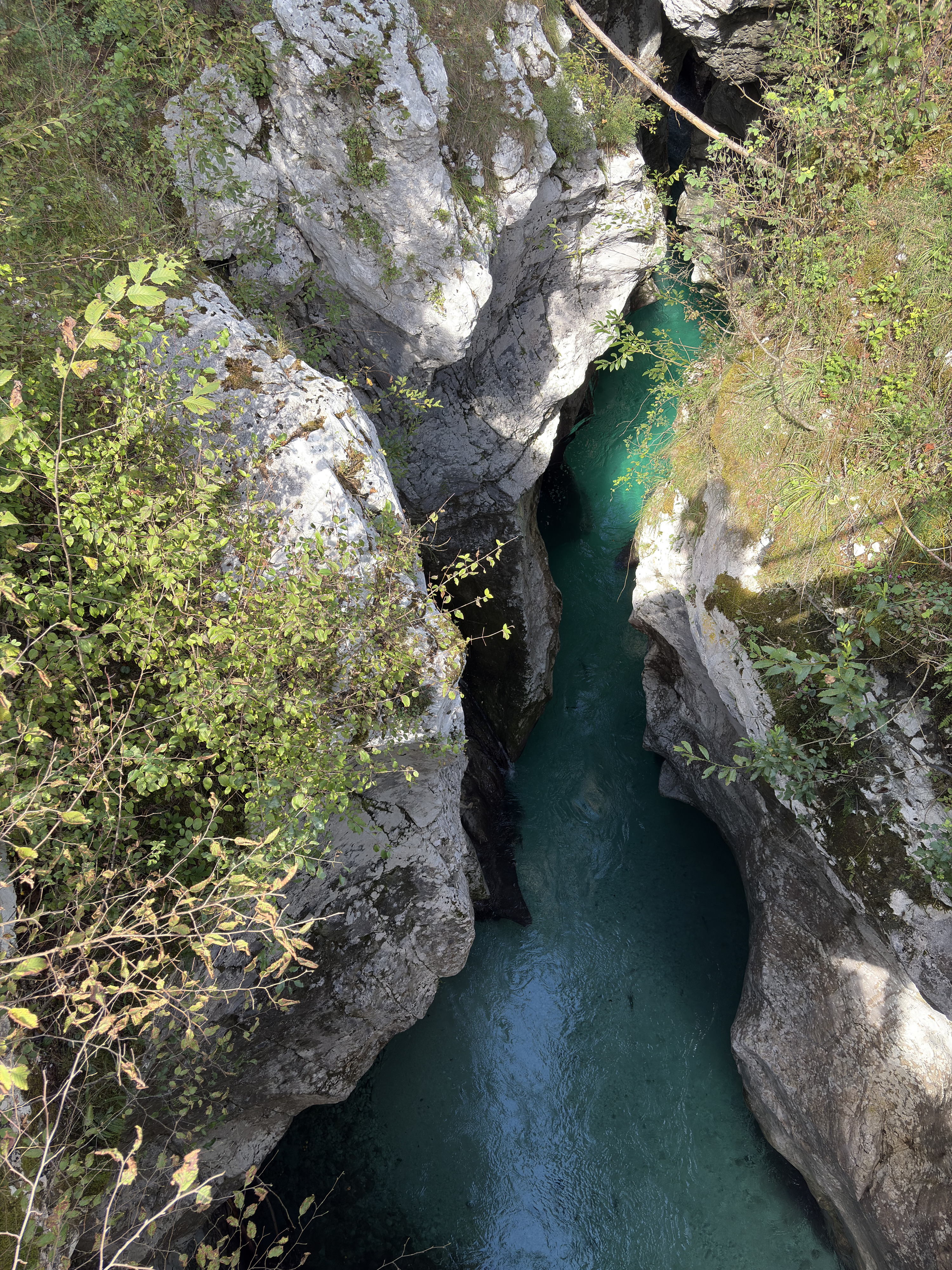 Picture Slovenia Soca River 2025-09 25 - Tours Soca River