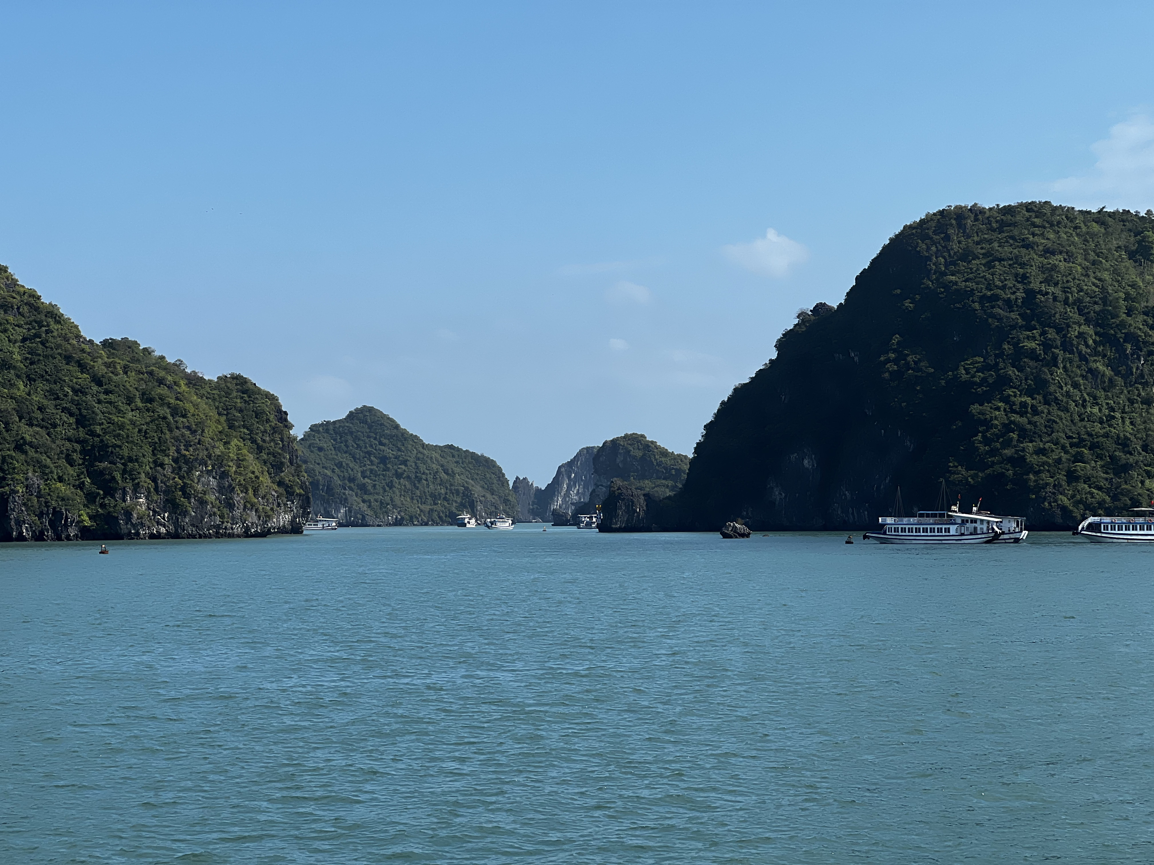 Picture Vietnam Ha Long Bay 2024-01 72 - Tours Ha Long Bay
