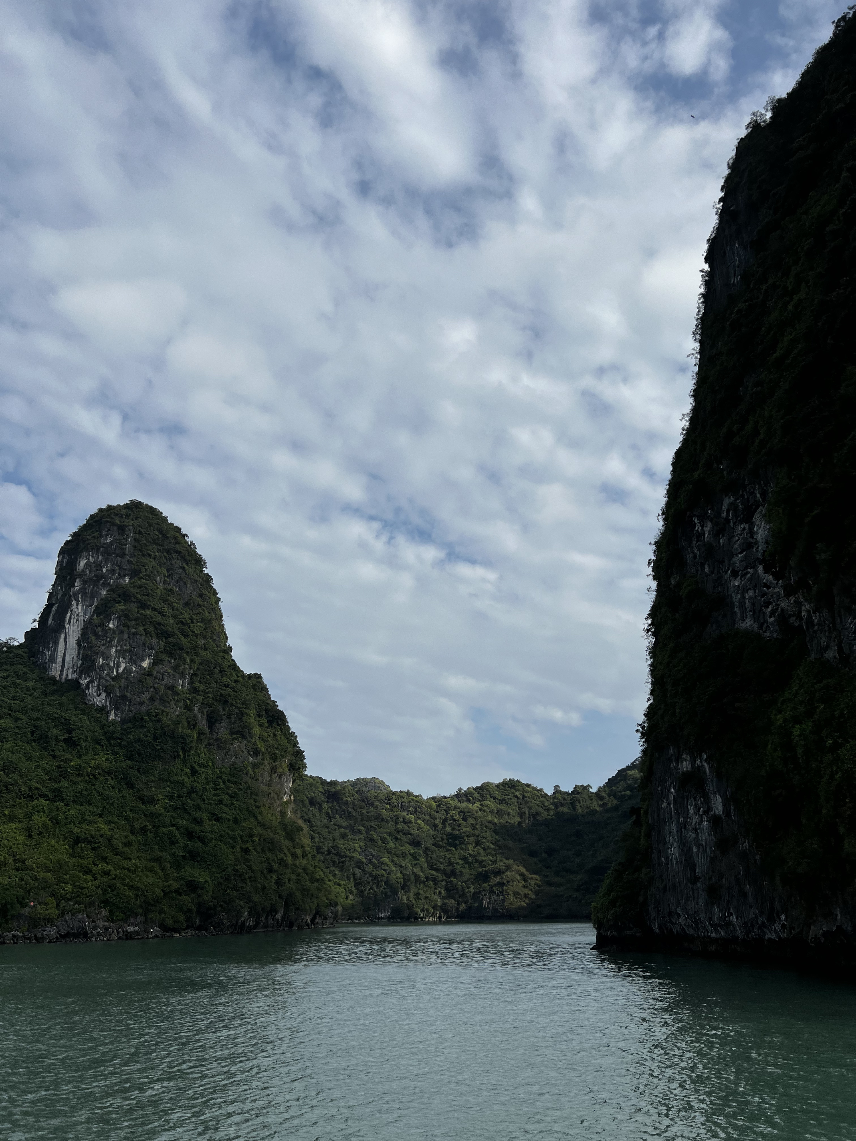 Picture Vietnam Ha Long Bay 2024-01 161 - Tours Ha Long Bay