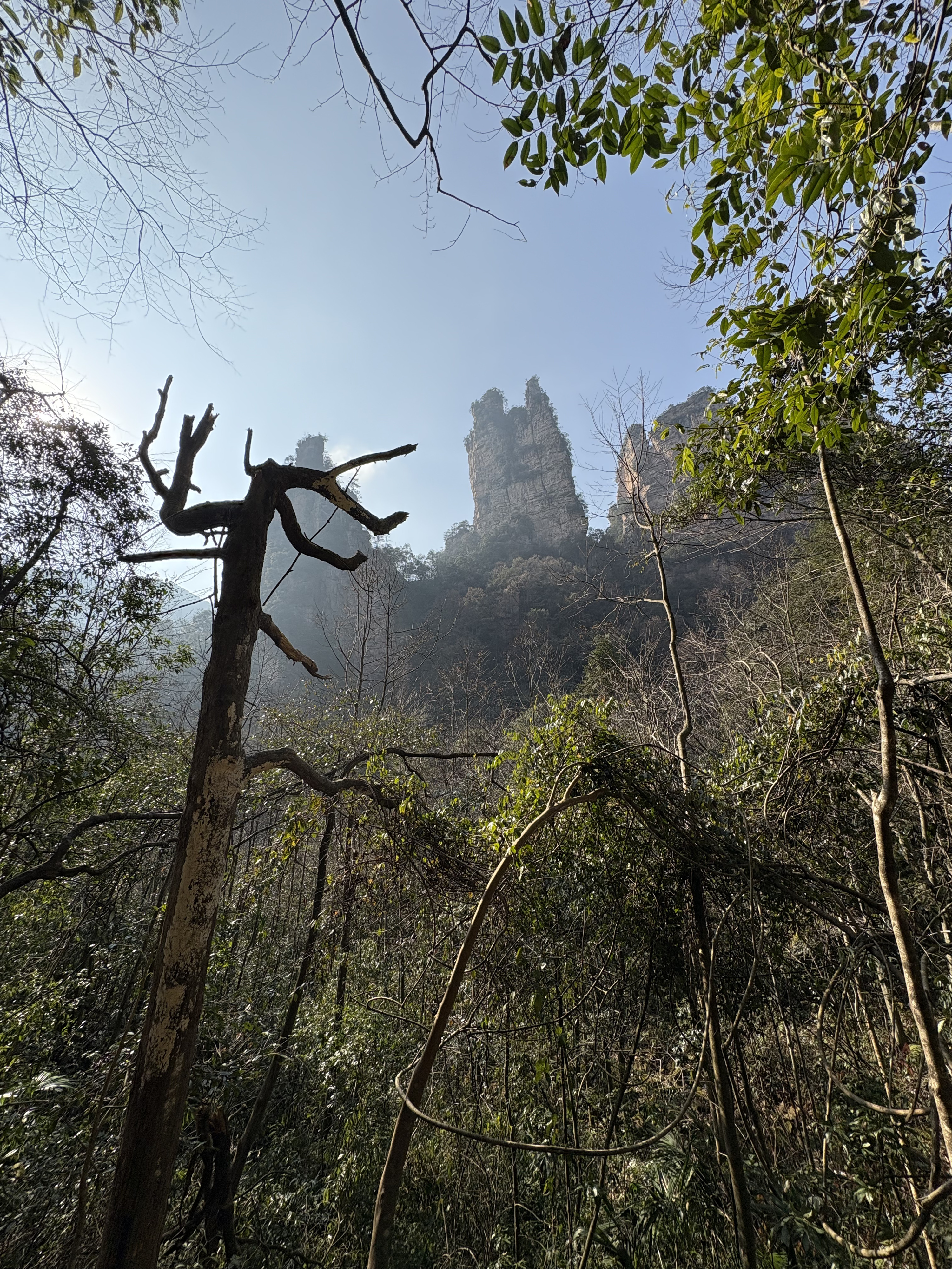 Picture China Zhangjiajie Tianzi Mountrain 2026-01 382 - Around Tianzi Mountrain