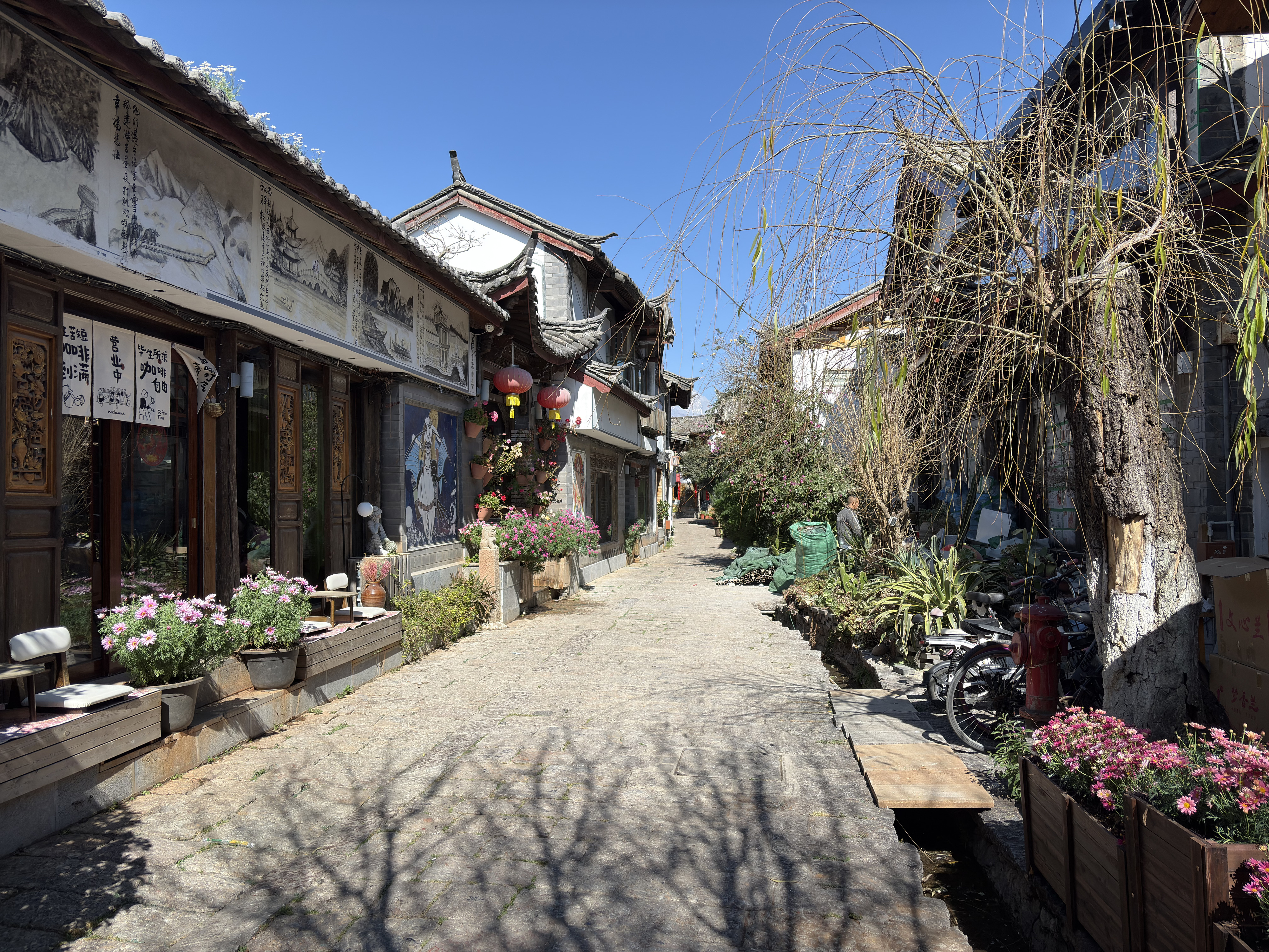 Picture China Lijiang 2026-01 690 - History Lijiang