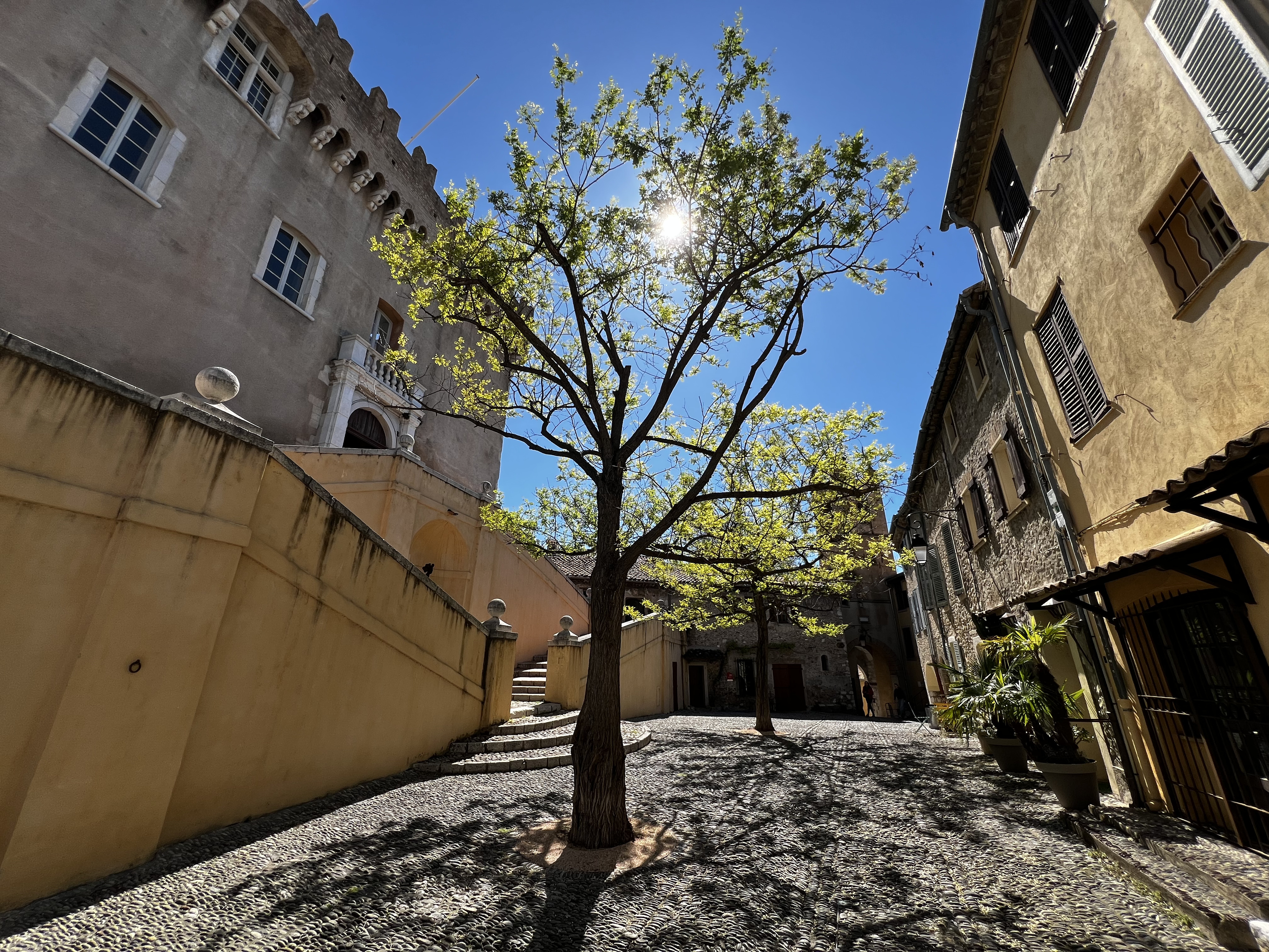 Picture France Haut de Cagne 2024-04 1 - Discovery Haut de Cagne