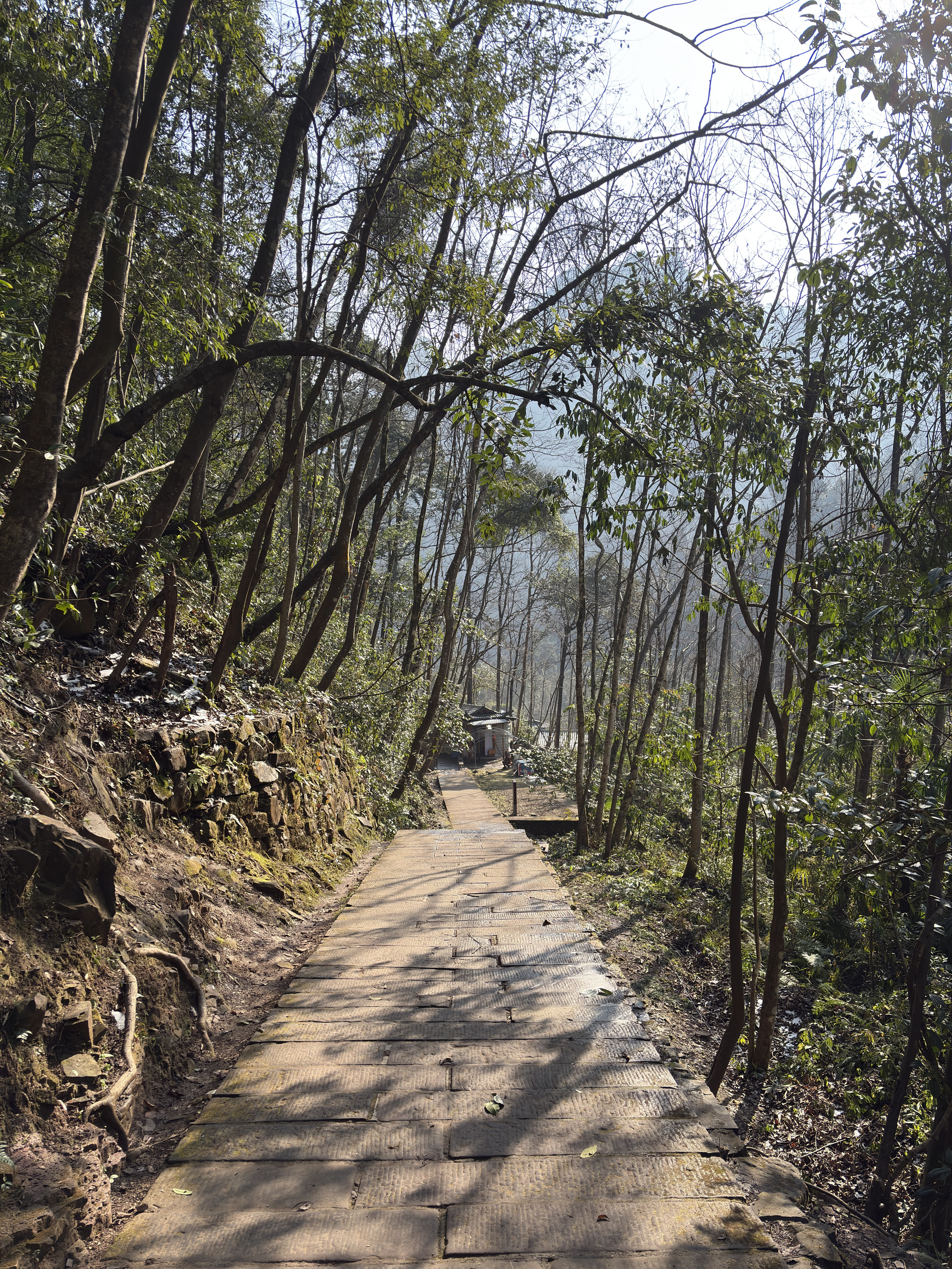 Picture China Zhangjiajie Tianzi Mountrain 2026-01 4 - Tour Tianzi Mountrain
