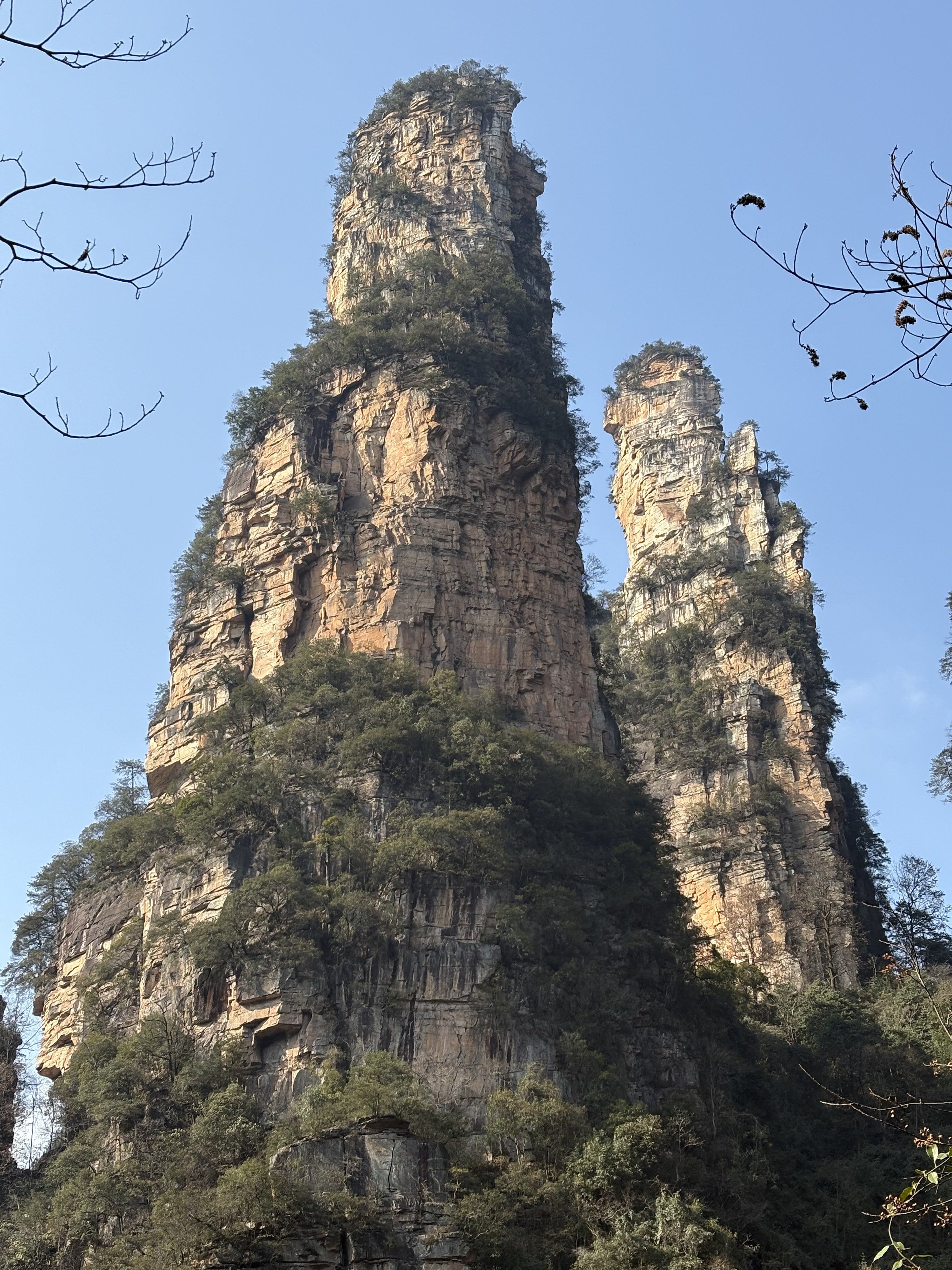 Picture China Zhangjiajie Tianzi Mountrain 2026-01 23 - Tours Tianzi Mountrain
