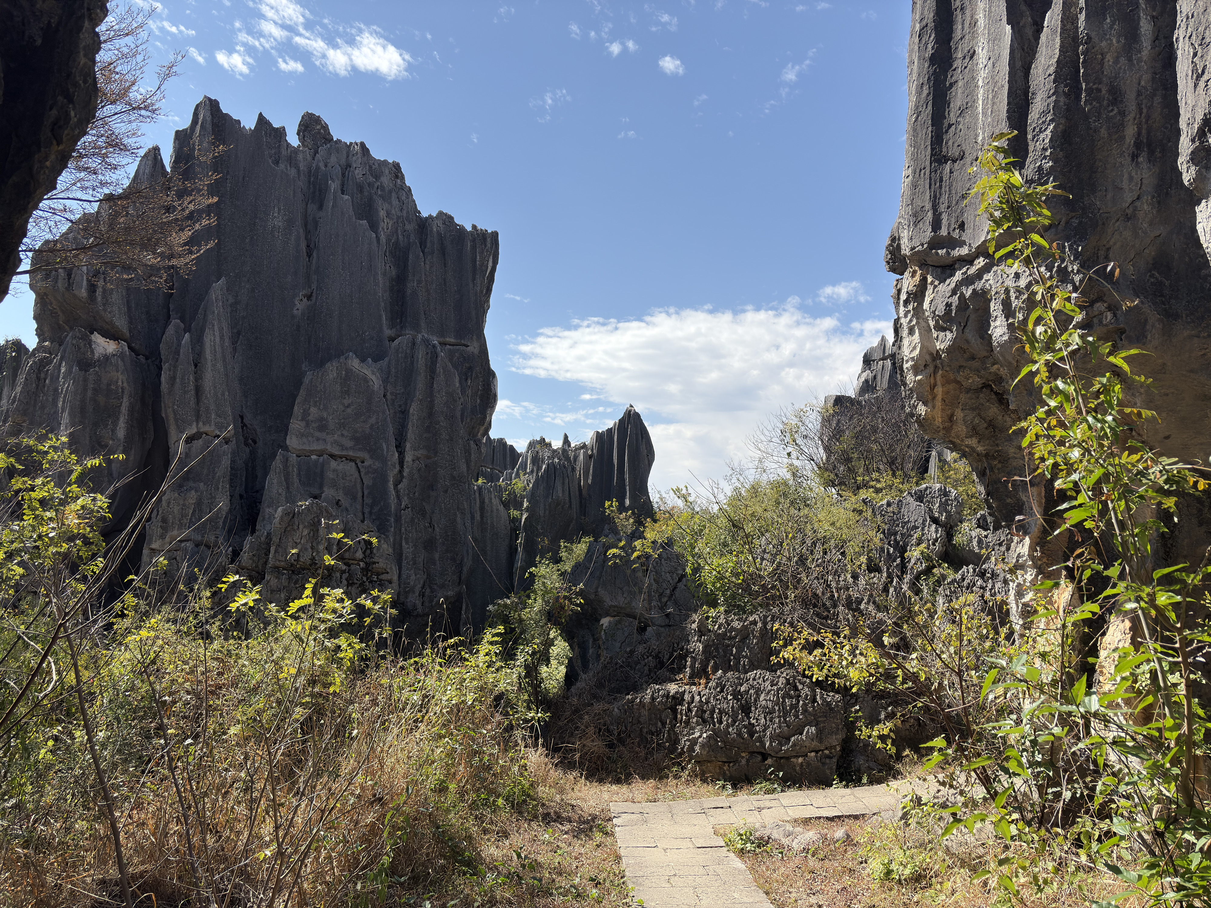 Picture China Shilin Stone Forest 2026-01 350 - Center Shilin Stone Forest