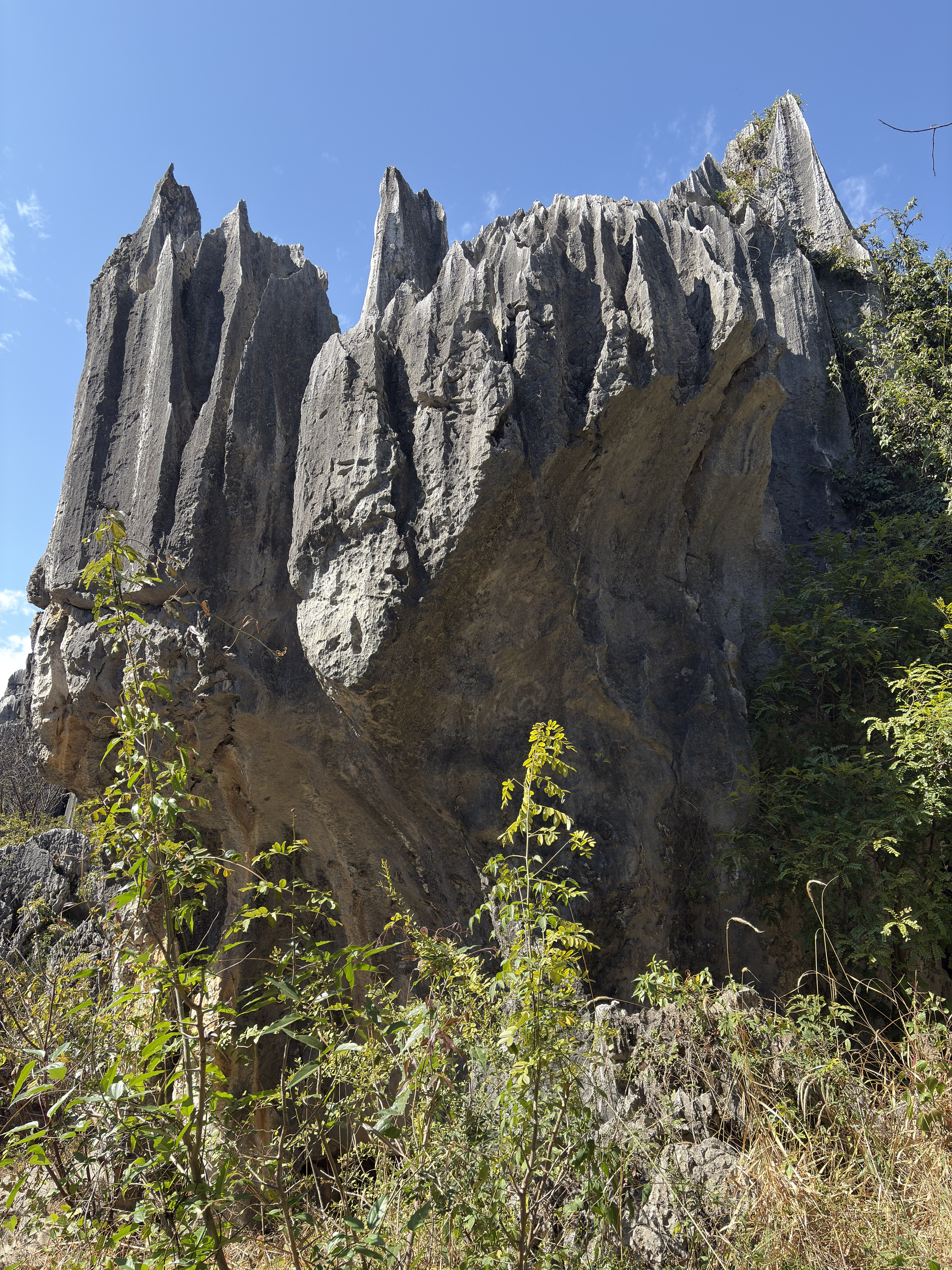 Picture China Shilin Stone Forest 2026-01 353 - Center Shilin Stone Forest