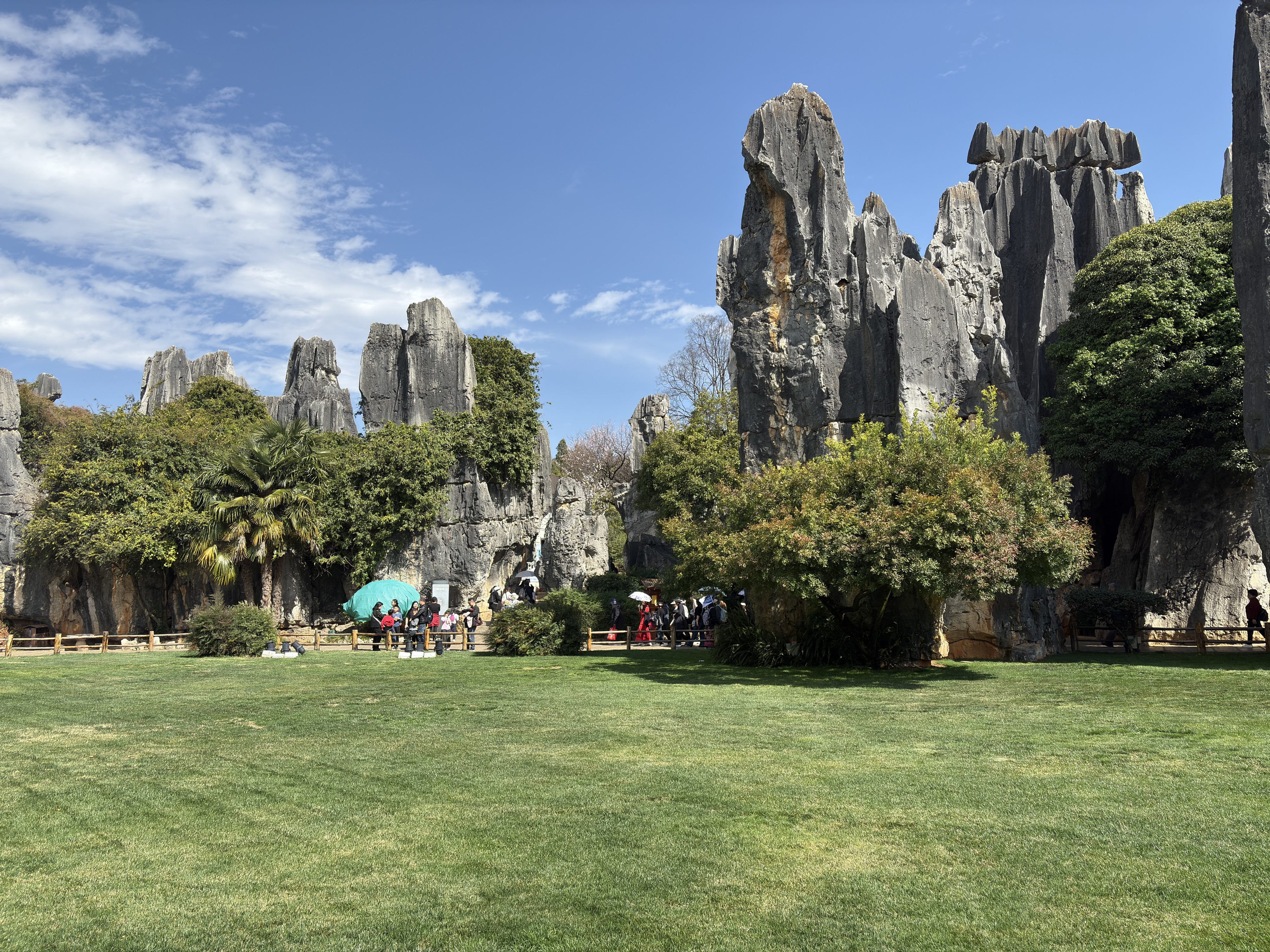 Picture China Shilin Stone Forest 2026-01 148 - Journey Shilin Stone Forest