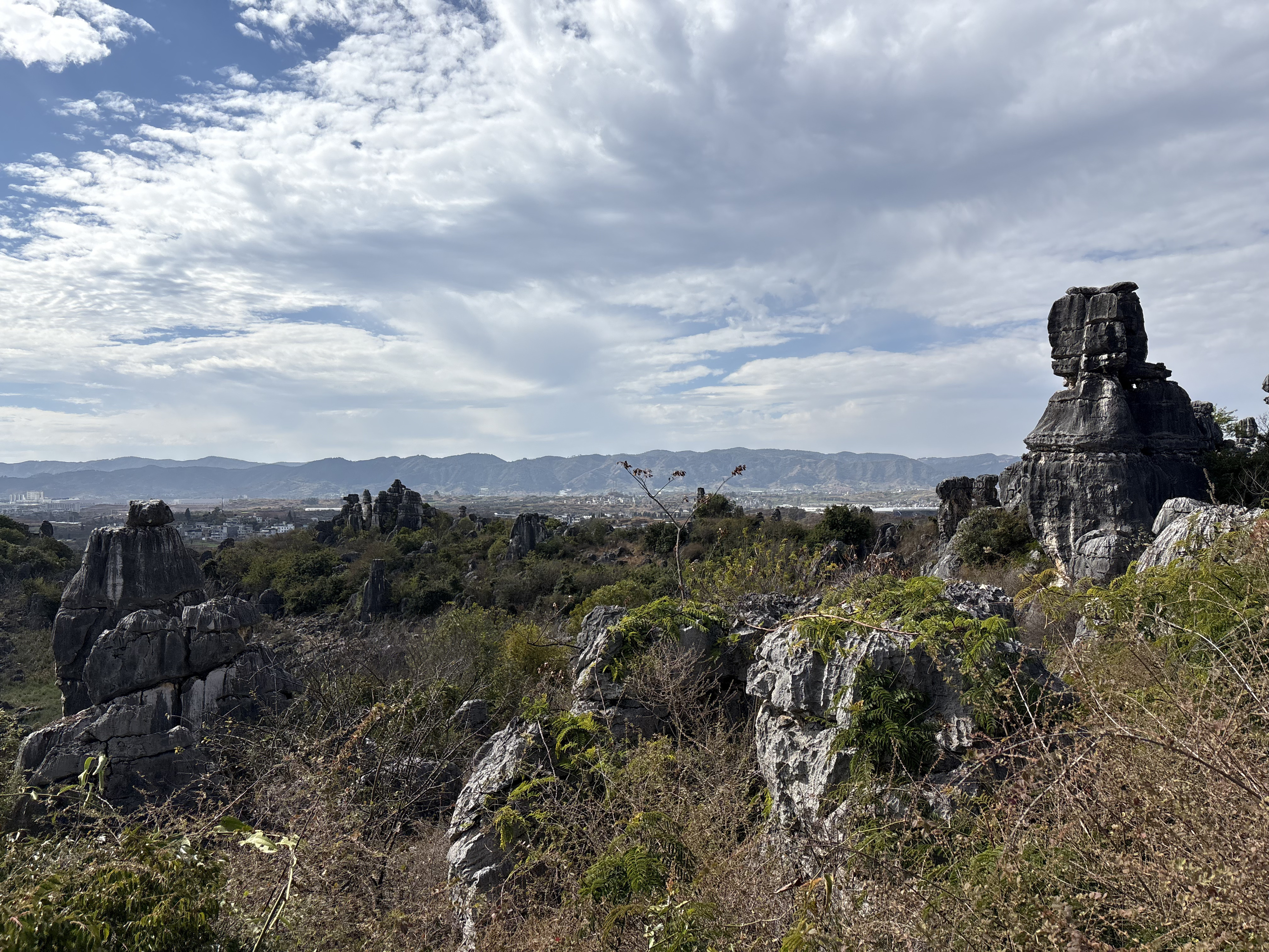 Picture China Shilin Stone Forest 2026-01 161 - Center Shilin Stone Forest