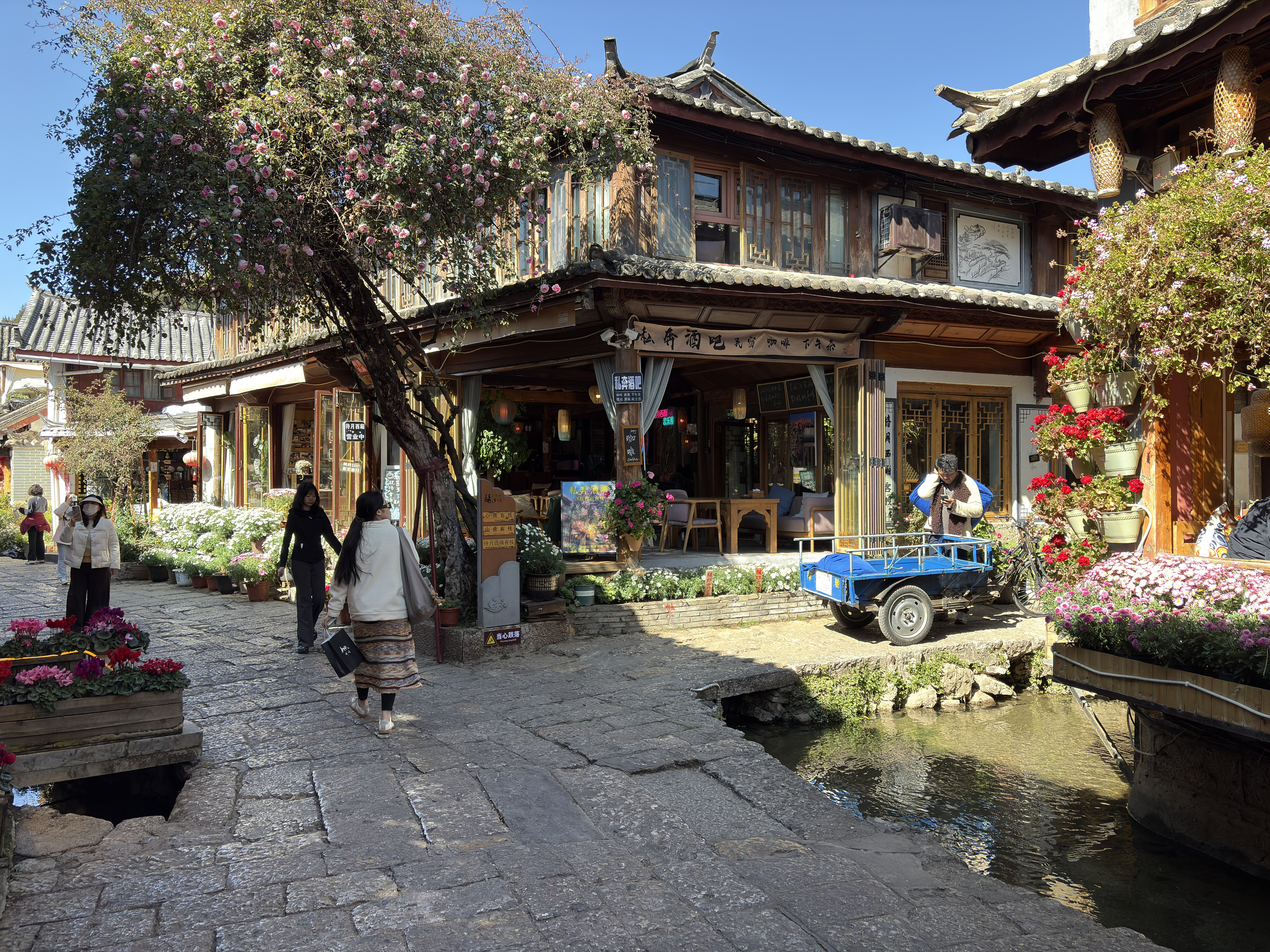 Picture China Lijiang 2026-01 413 - Tour Lijiang