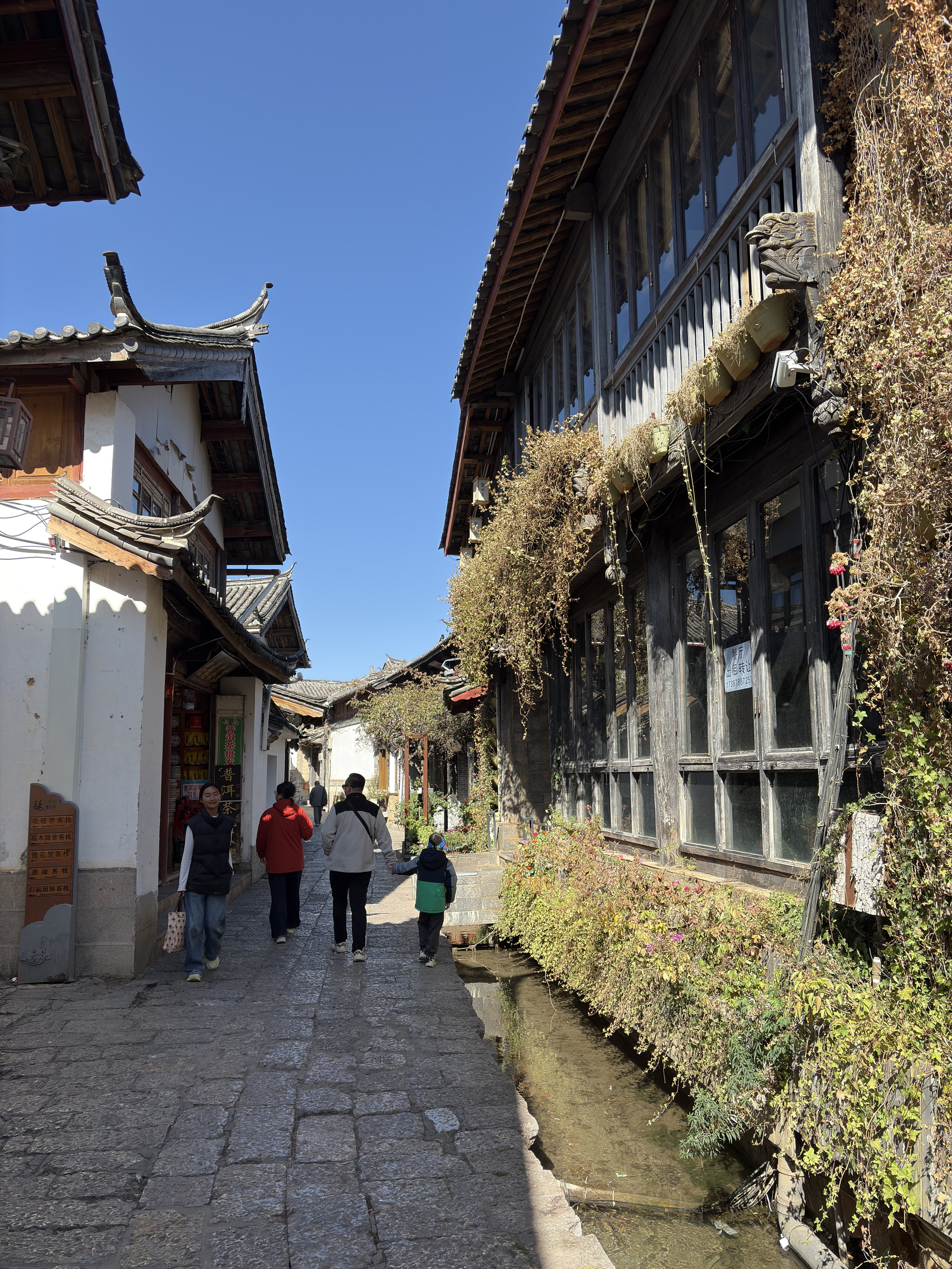 Picture China Lijiang 2026-01 575 - History Lijiang