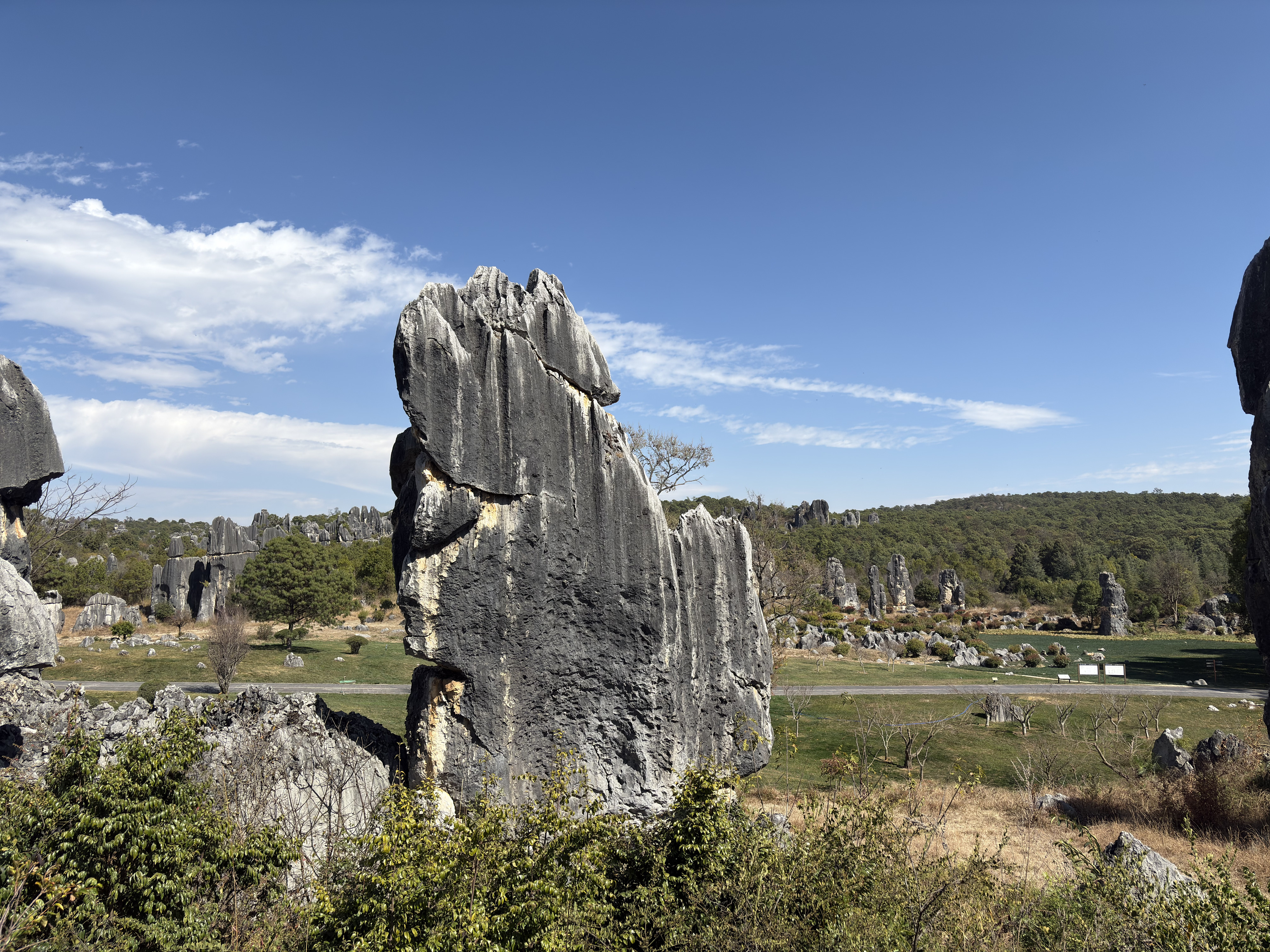 Picture China Shilin Stone Forest 2026-01 223 - Tours Shilin Stone Forest
