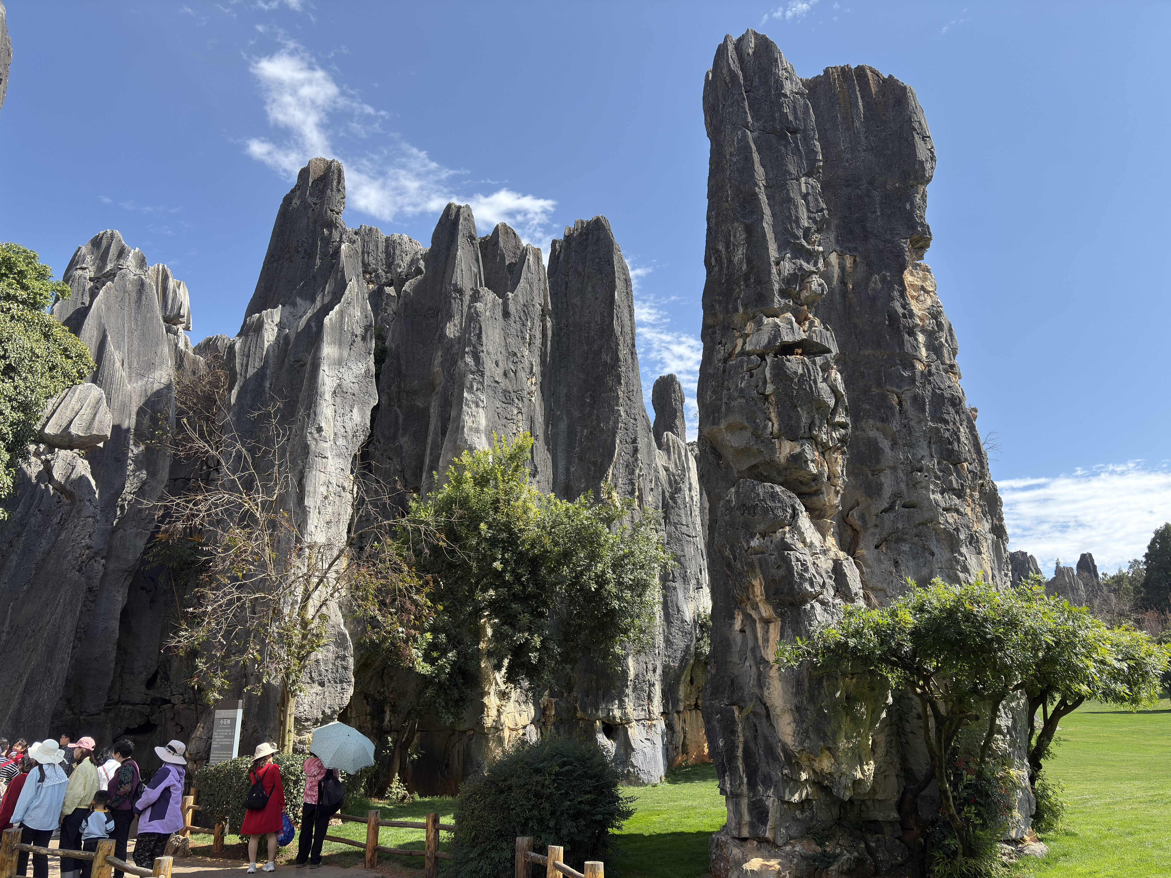 Picture China Shilin Stone Forest 2026-01 138 - Center Shilin Stone Forest