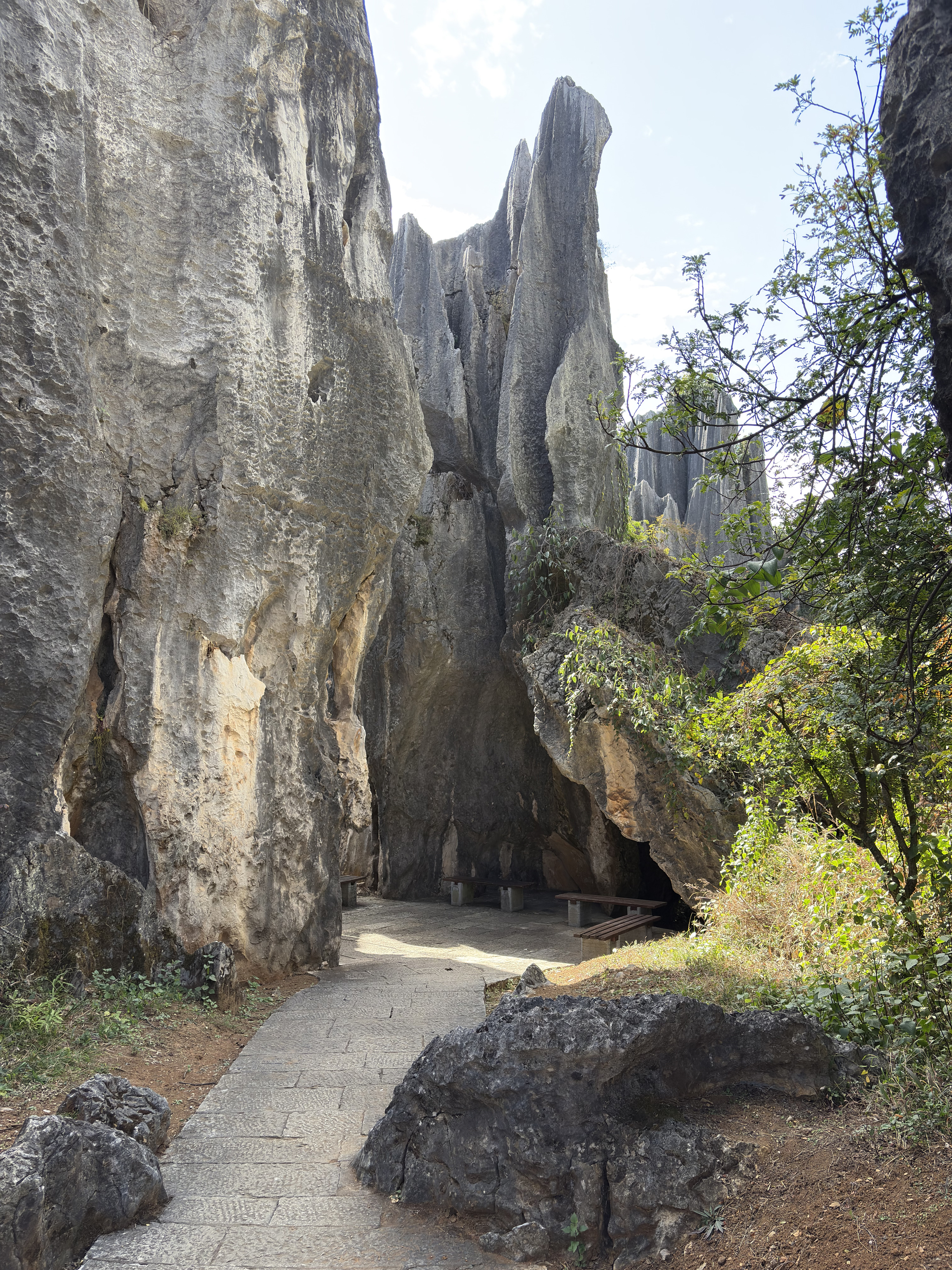 Picture China Shilin Stone Forest 2026-01 372 - Tours Shilin Stone Forest