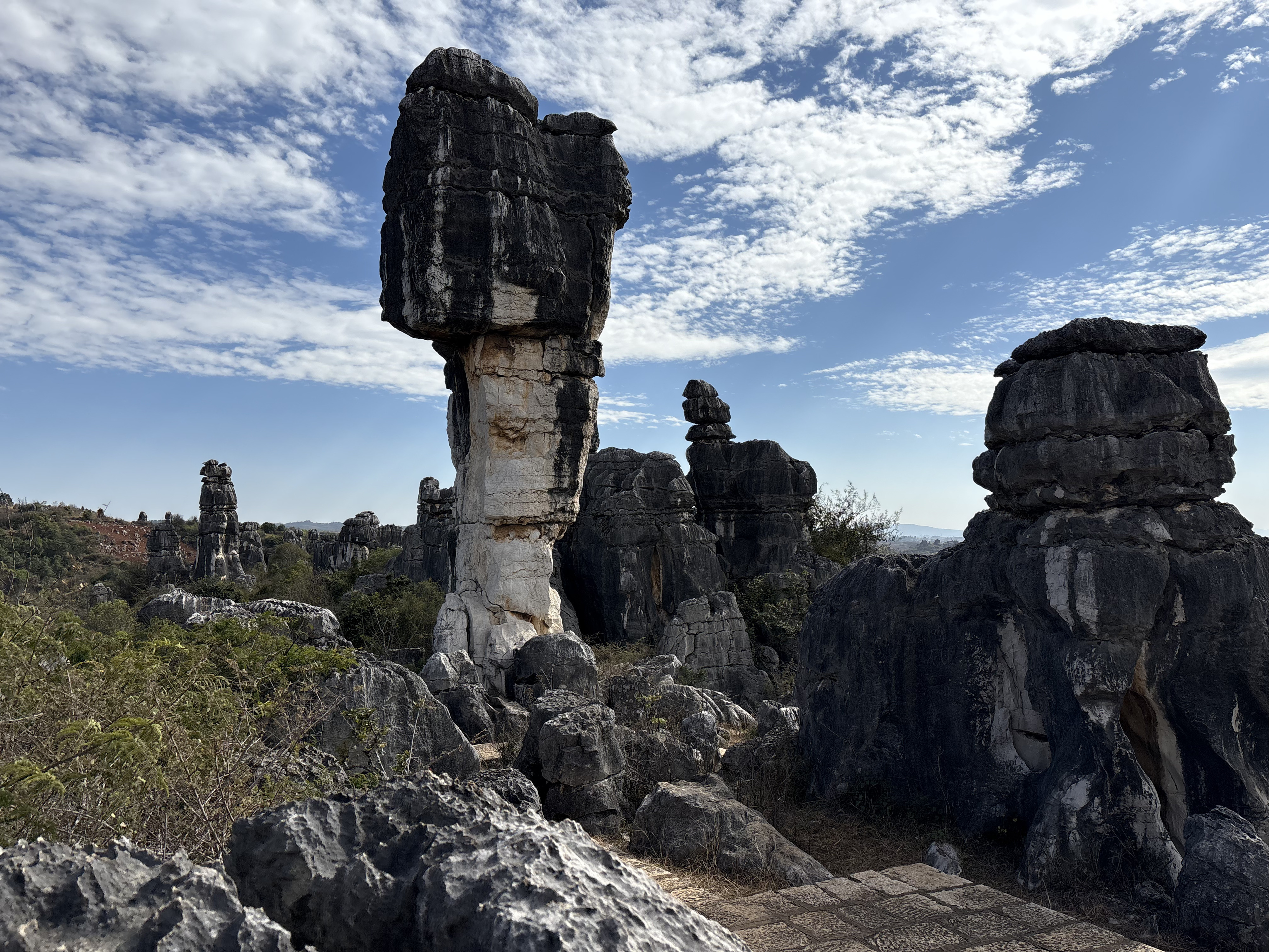 Picture China Shilin Stone Forest 2026-01 265 - Tour Shilin Stone Forest