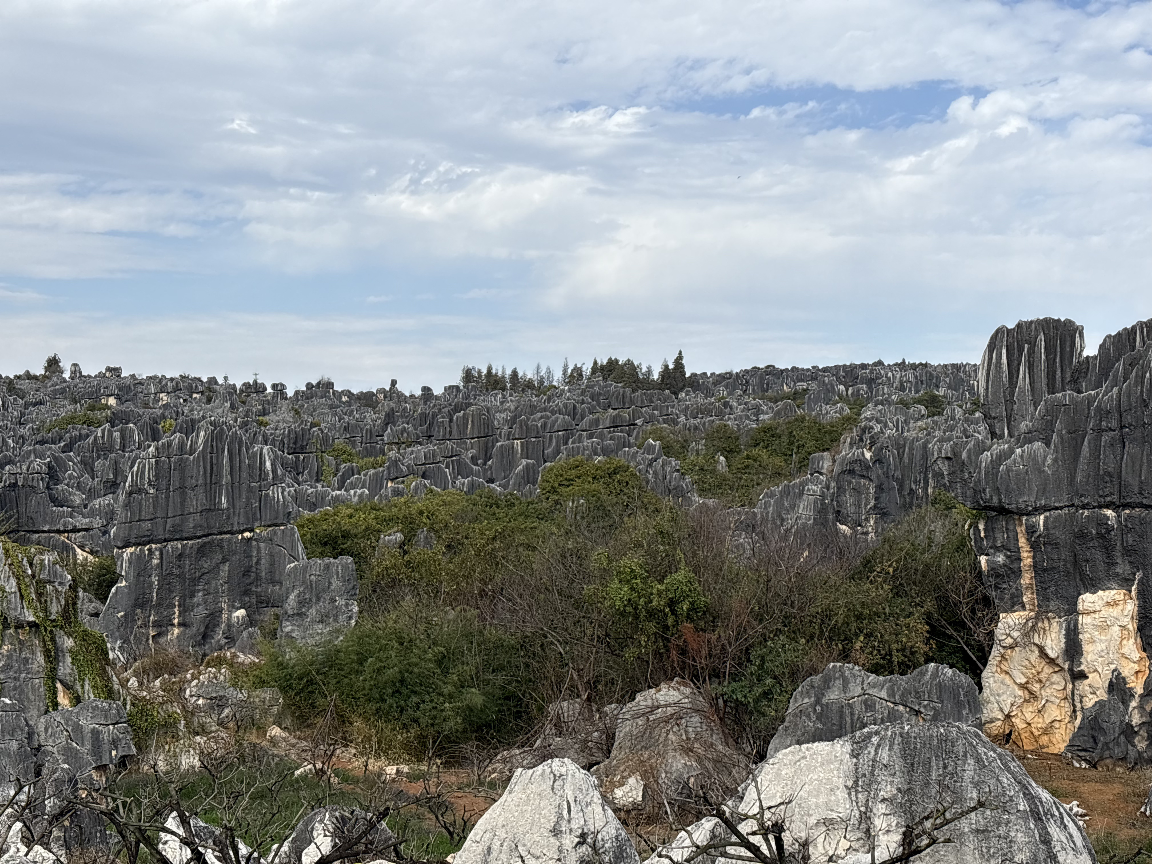 Picture China Shilin Stone Forest 2026-01 45 - Tour Shilin Stone Forest