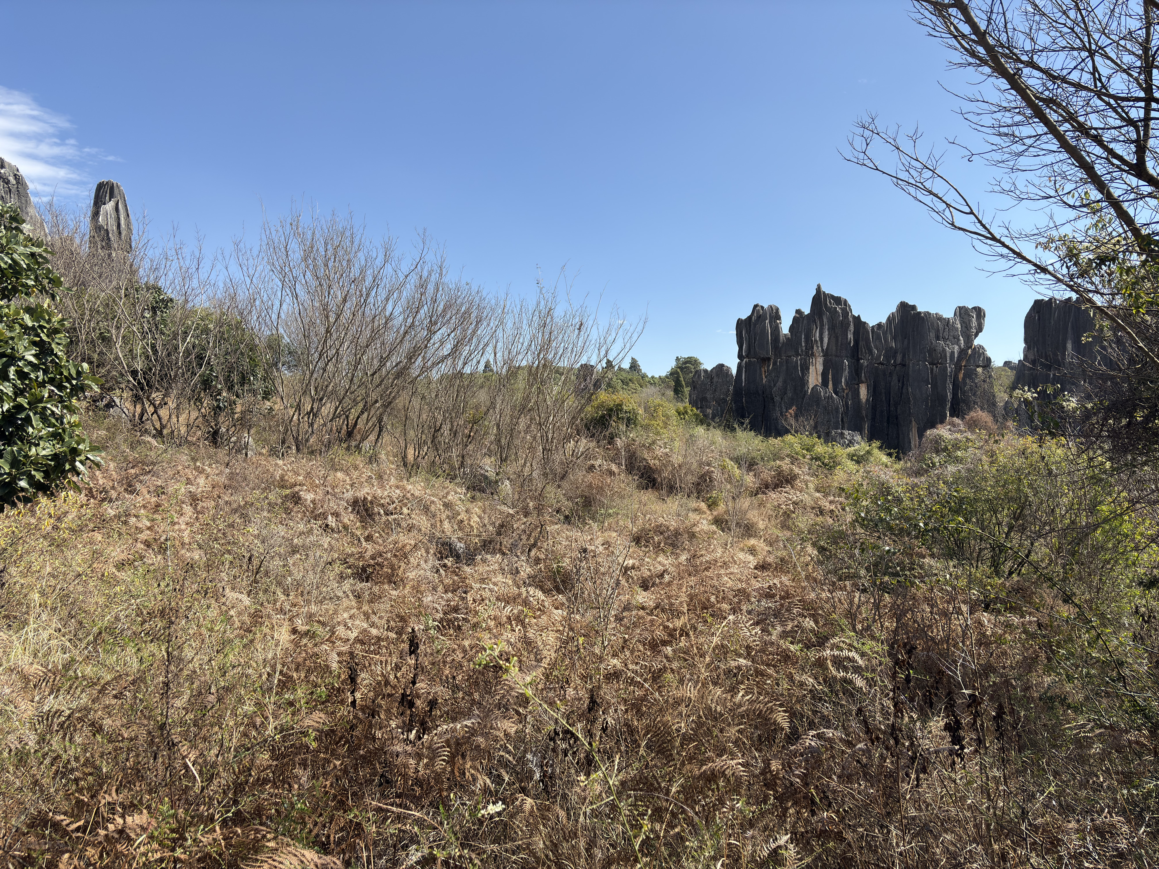 Picture China Shilin Stone Forest 2026-01 120 - Journey Shilin Stone Forest