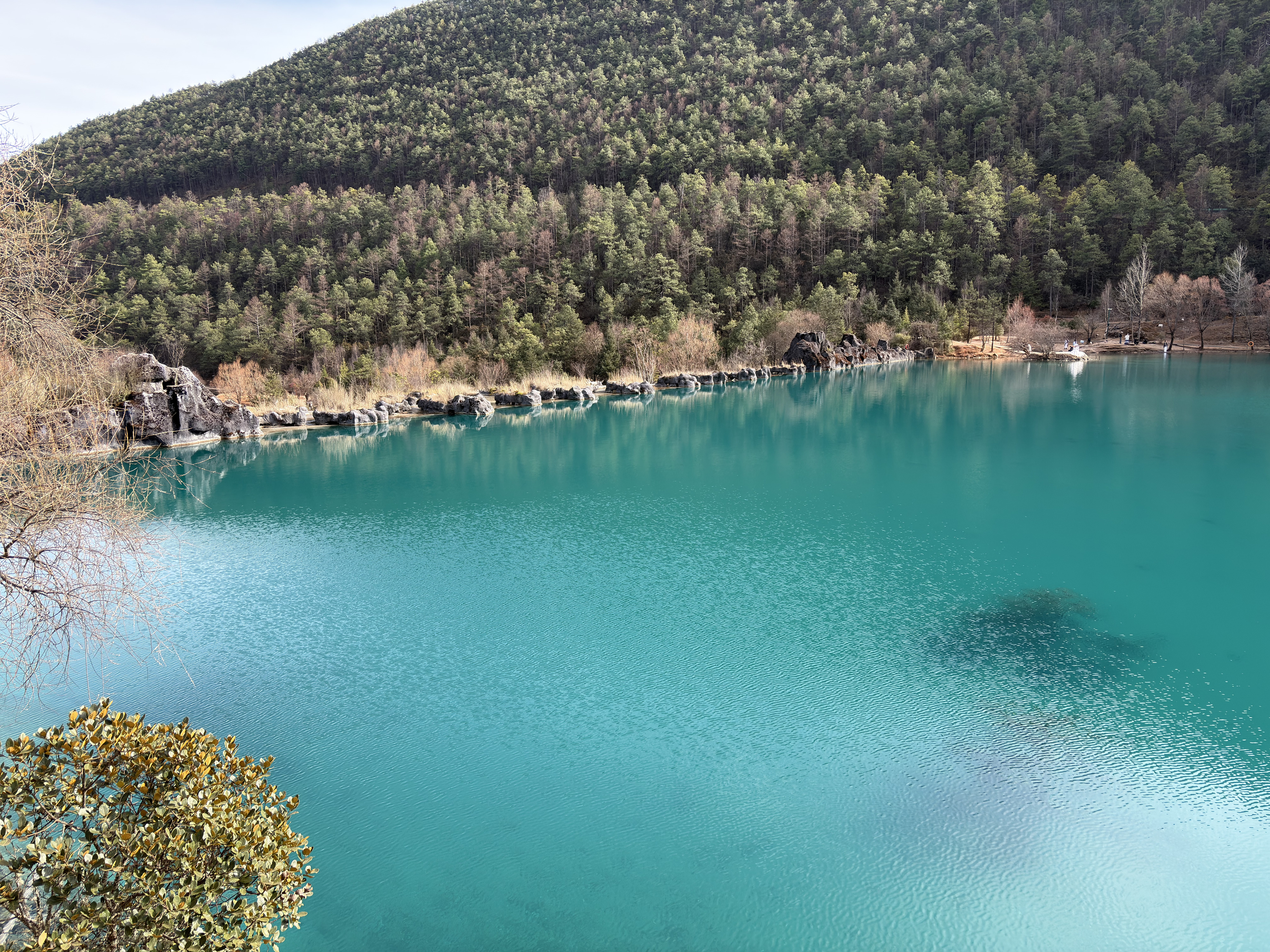 Picture China Lijiang Blue moon valley 2026-01 65 - Tours Blue moon valley