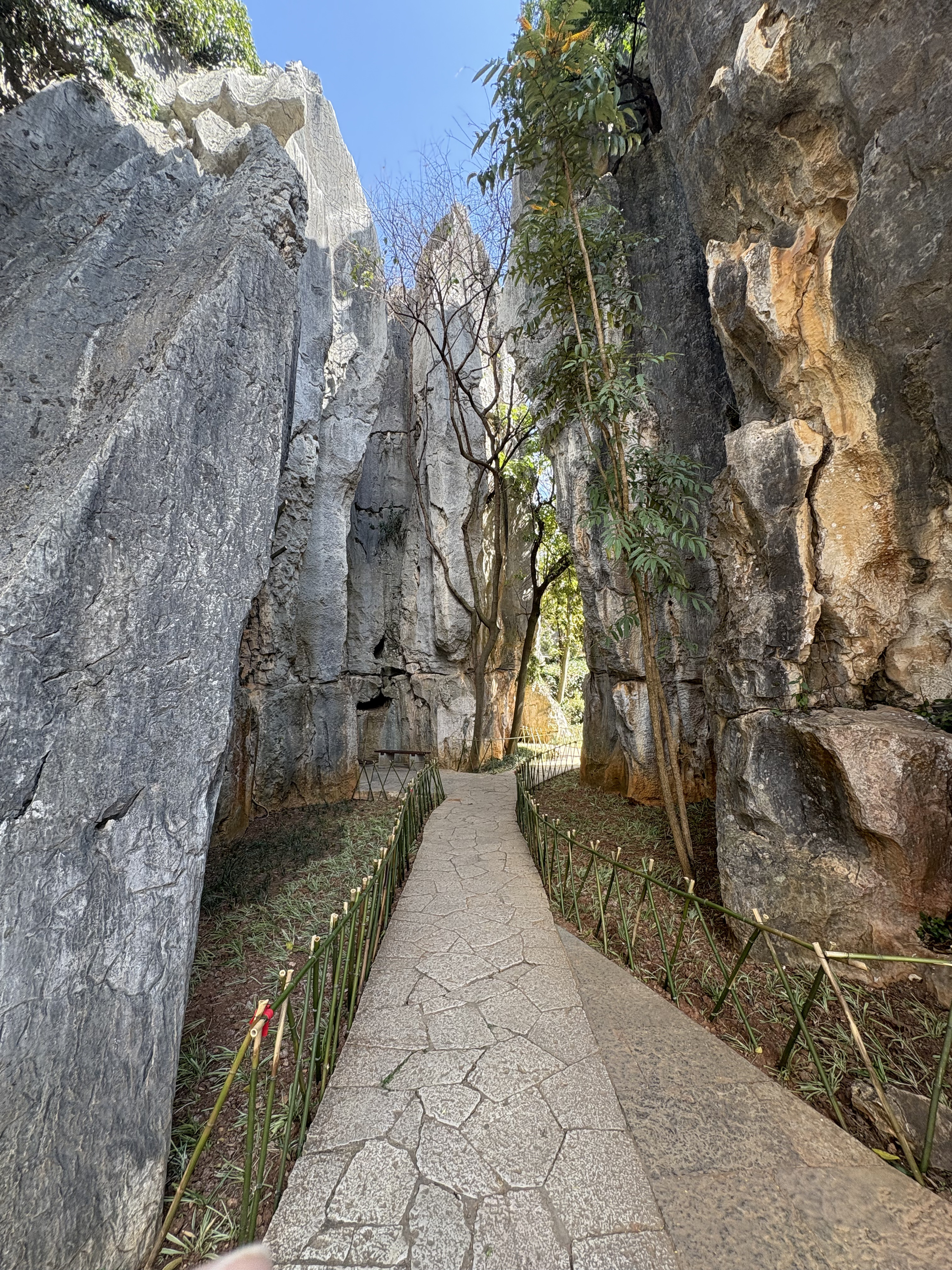 Picture China Shilin Stone Forest 2026-01 392 - History Shilin Stone Forest