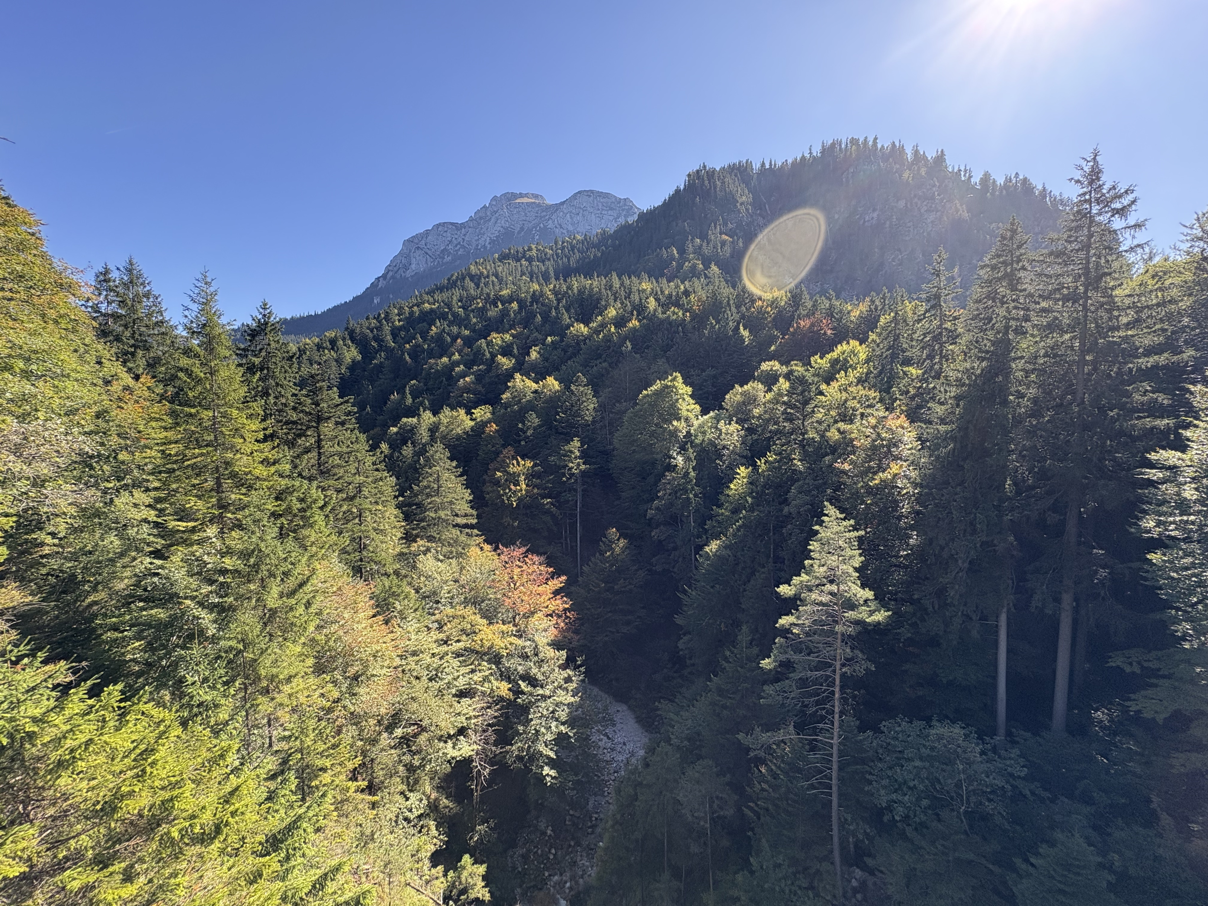 Picture Germany Neuschwanstein 2025-09 8 - Journey Neuschwanstein